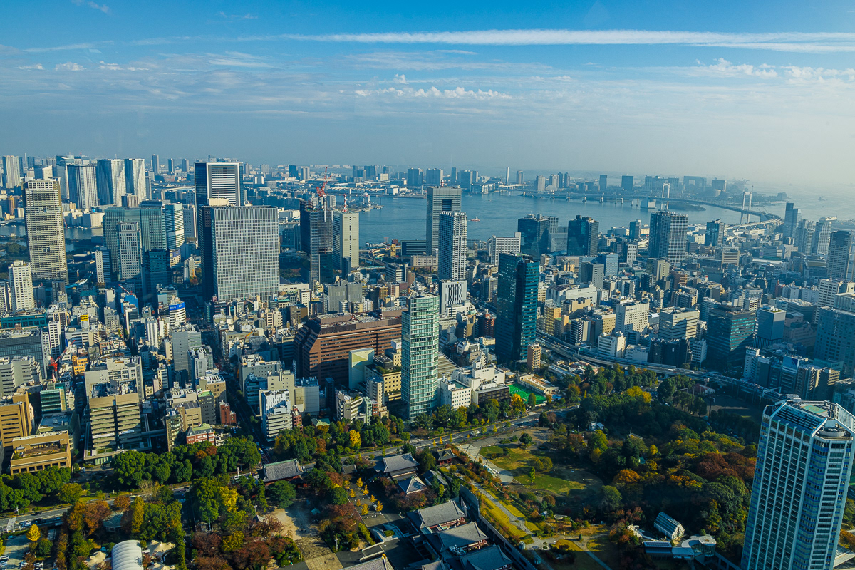 Tokyo Skyline with Rainbow Bridge