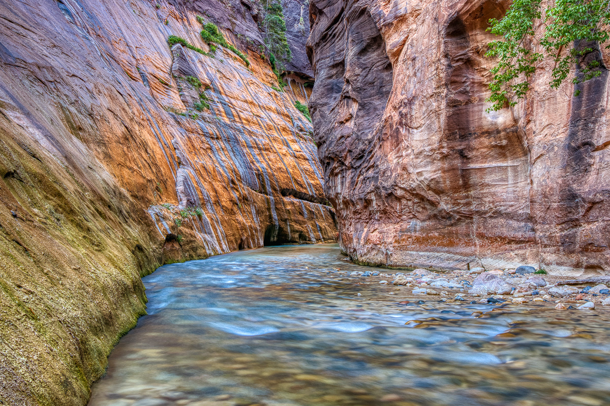 Golden Wall, Narrows, Zion NP