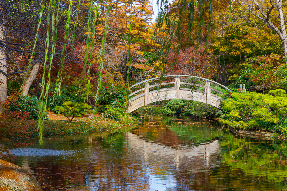 Moonbridge at Japanese Gardens Fort Worth