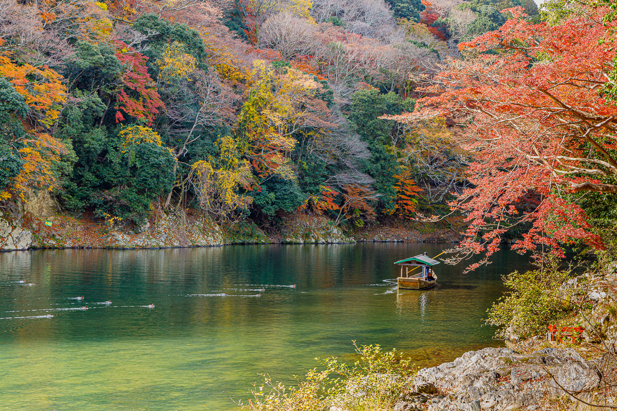 Katsura River