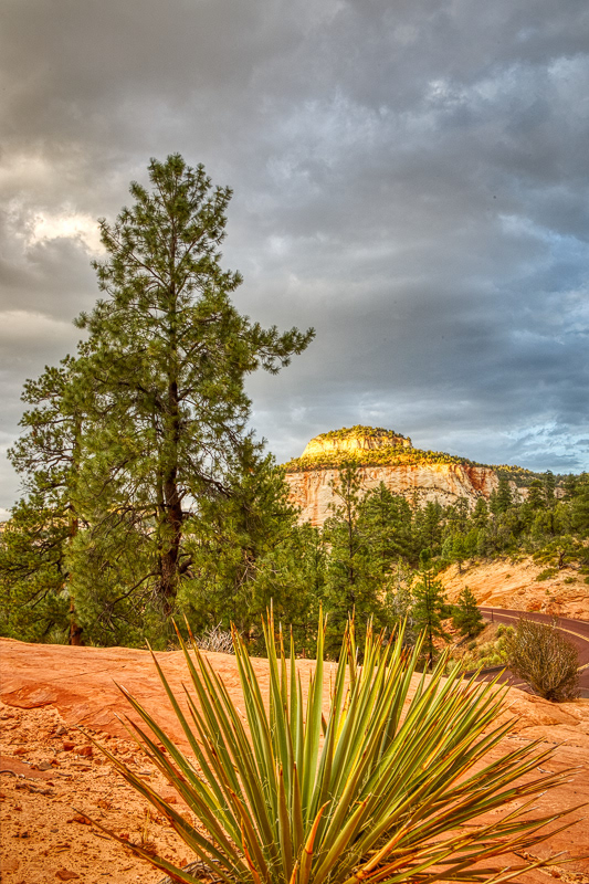 Sunset, Zion NP