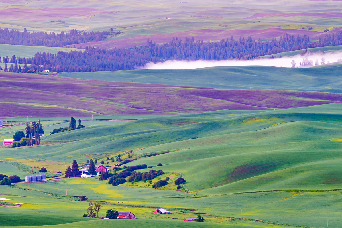 Sunrise in Palouse, WA