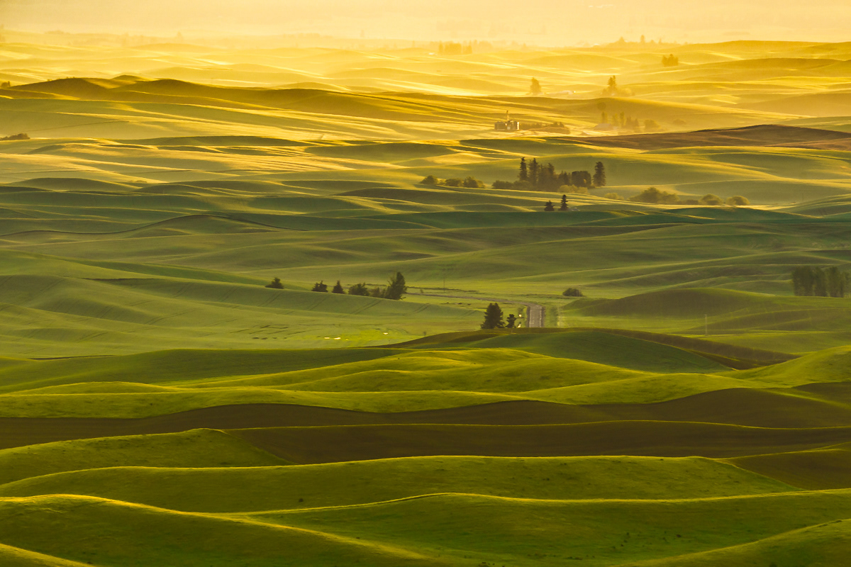 Sunrise in Palouse, WA