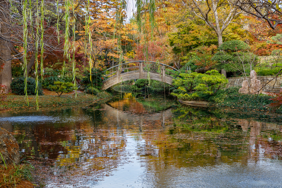 Moonbridge at Japanese Garden Fort Worth