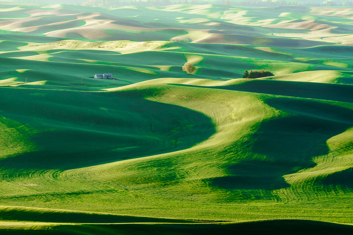 Sunrise in Palouse, WA