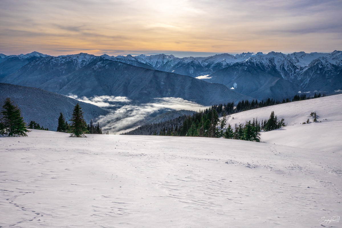 View from Hurricane Ridge, Olympic National Park