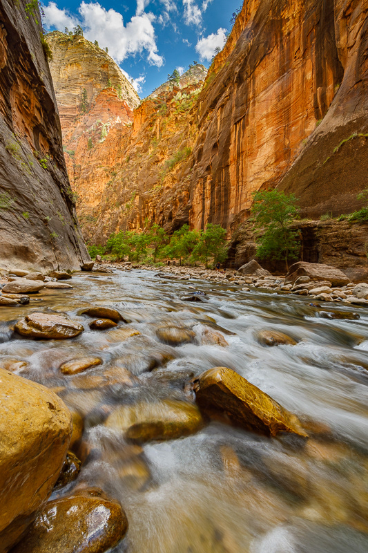 Golden Wall at Narrows, Zion NP
