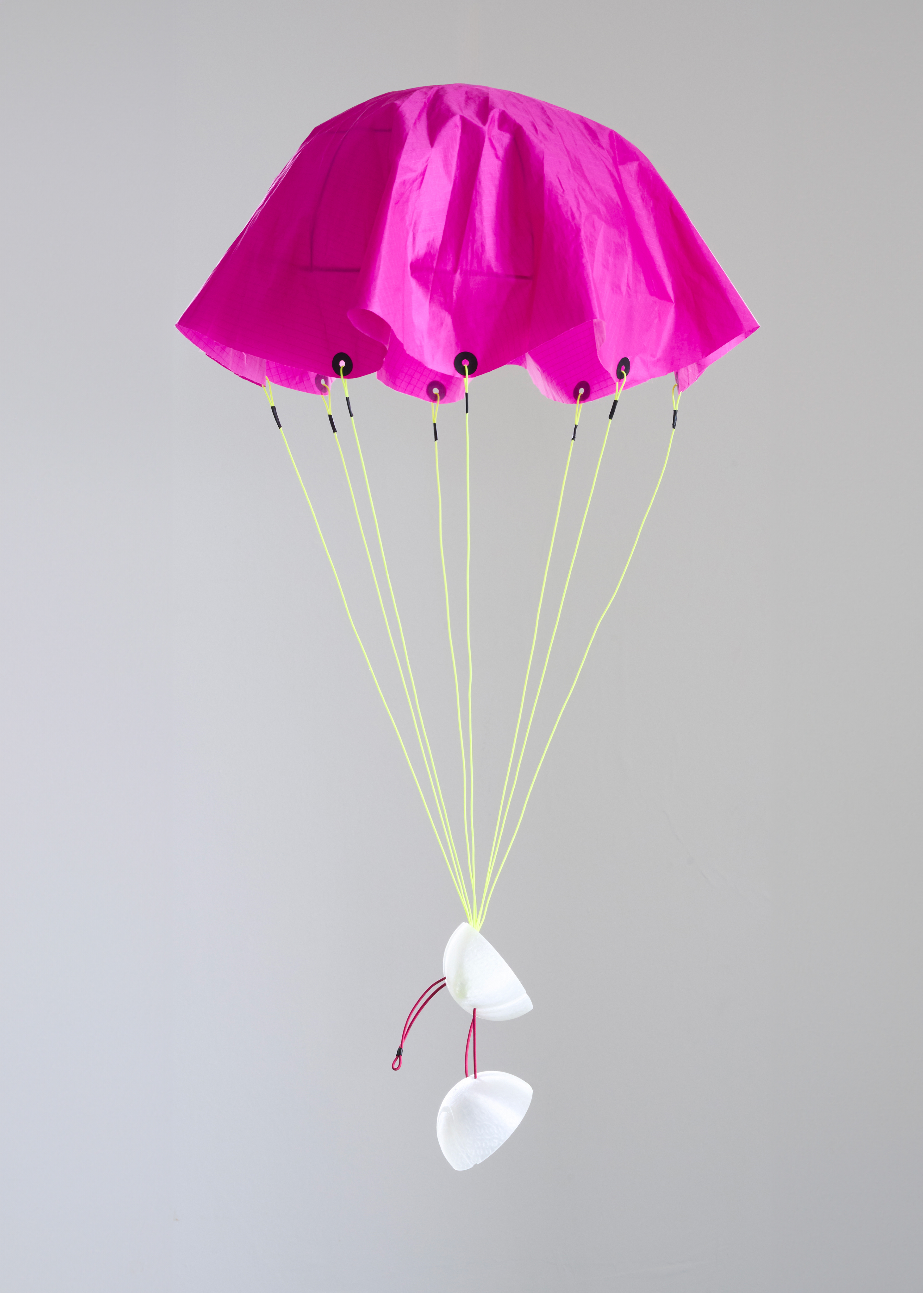 ballerfly - Basile Avvanzino