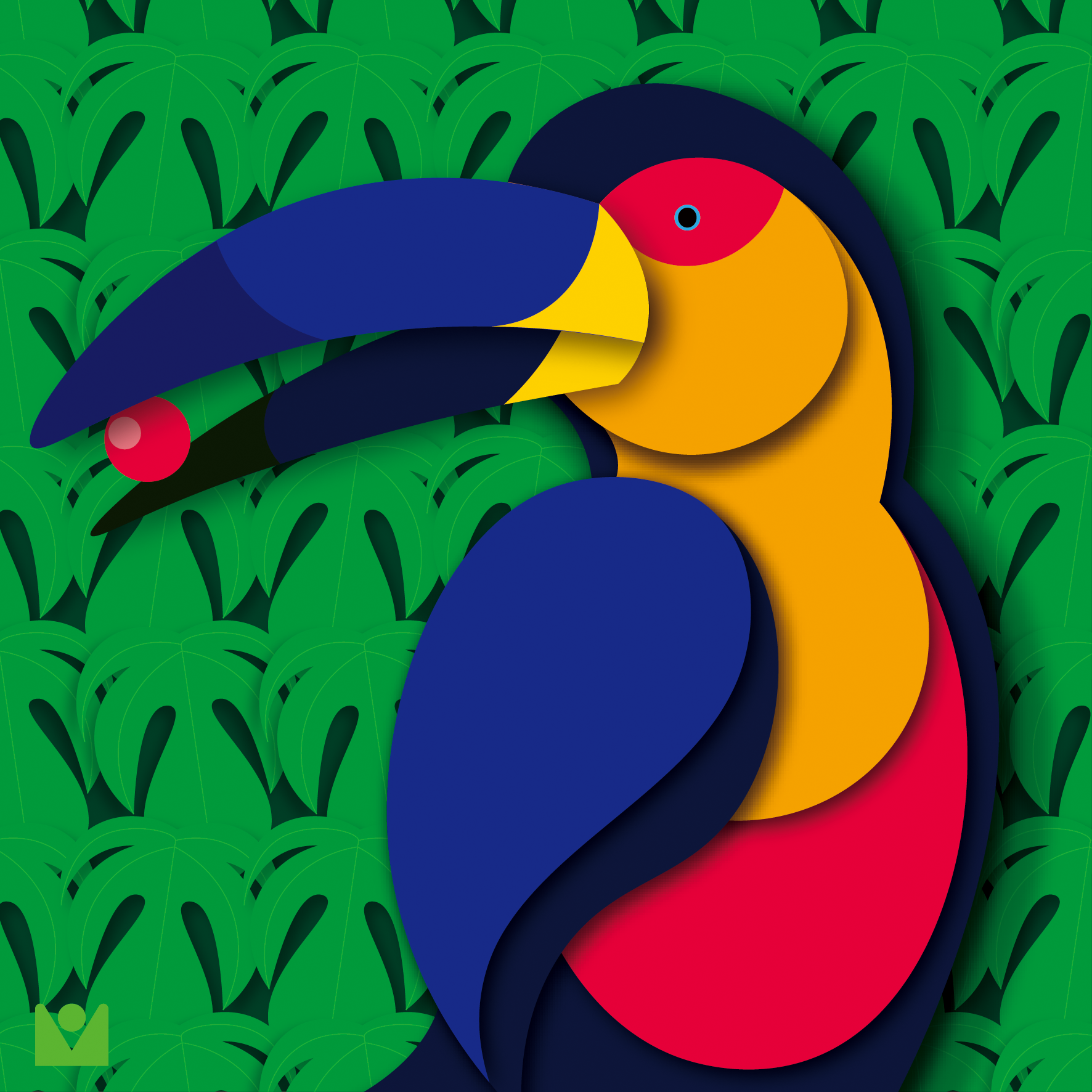 toucan bird C