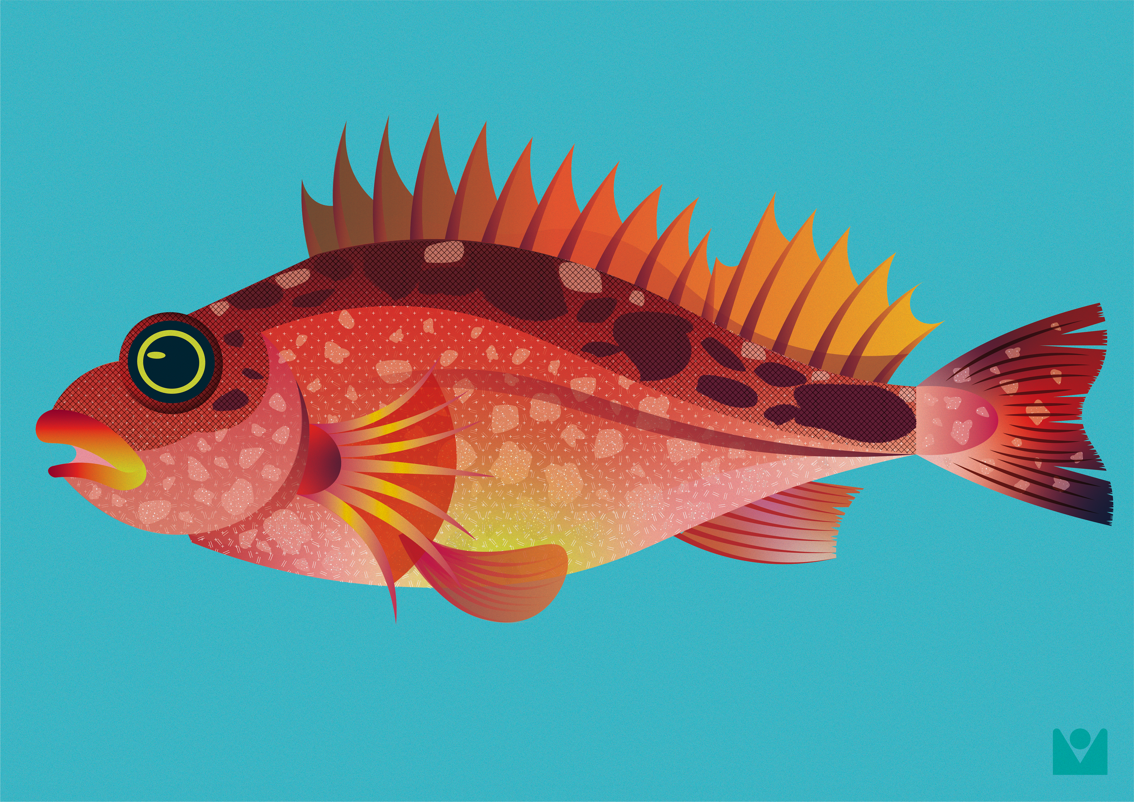 scorpionfish