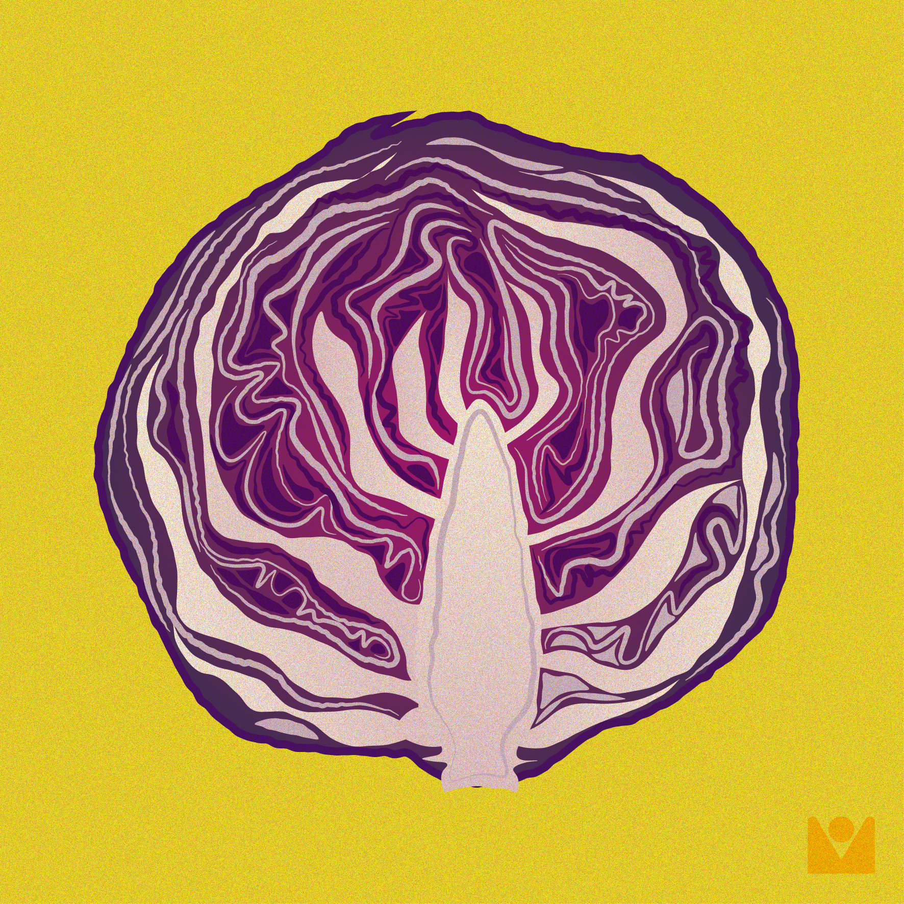 purple cabage