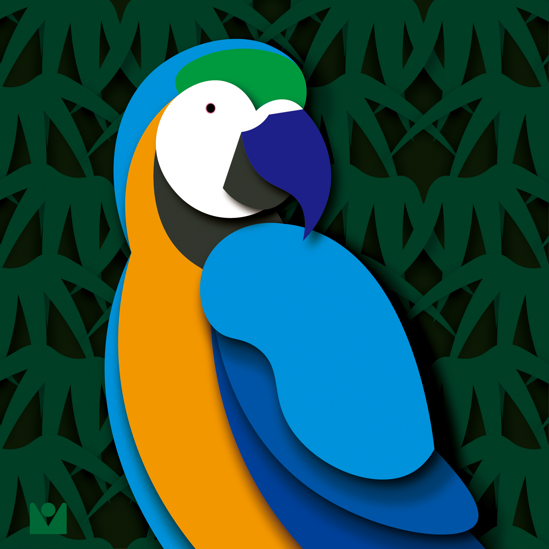 parrot C