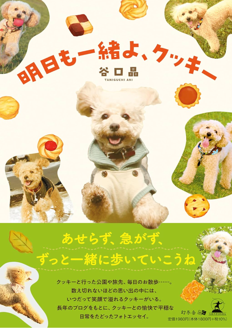 cover design