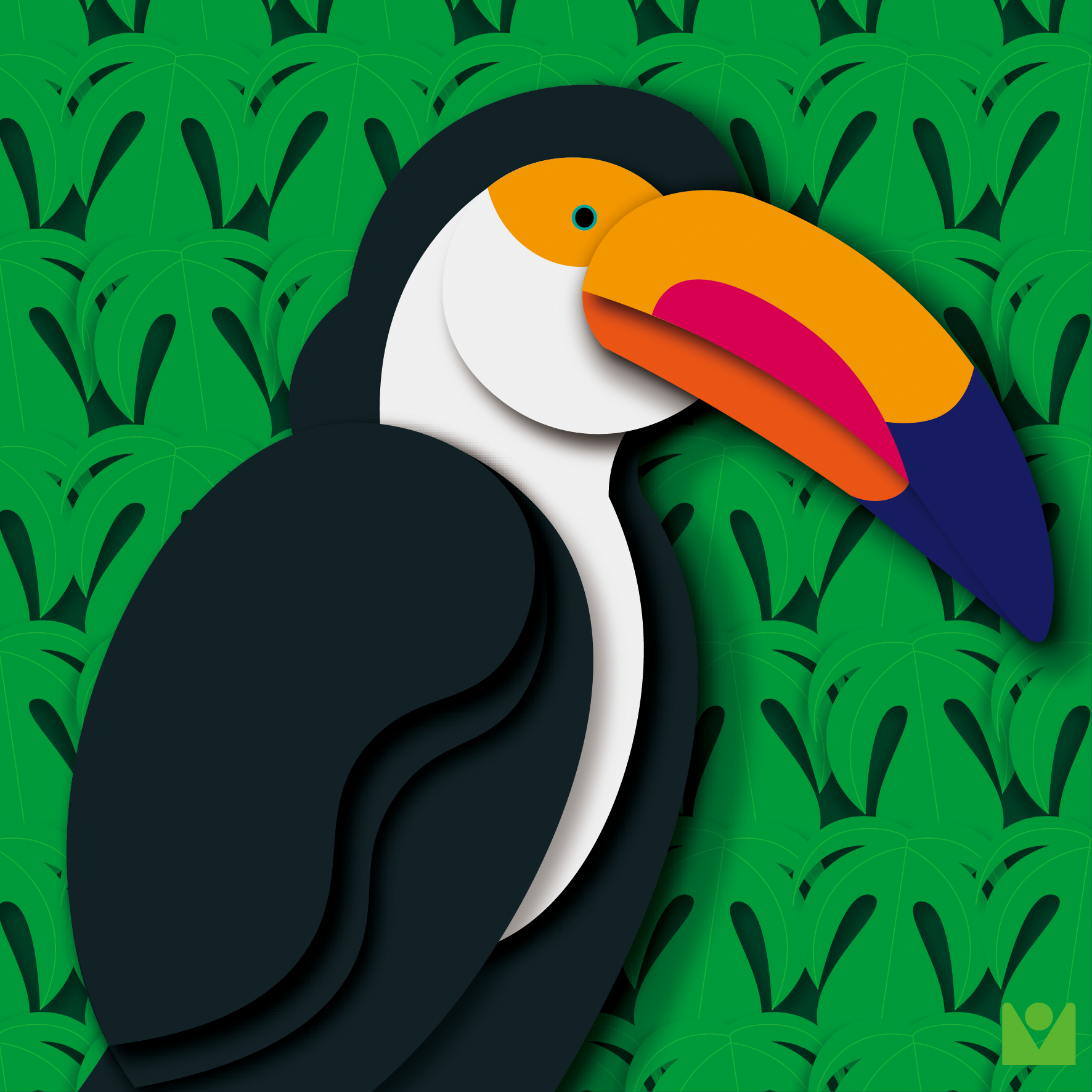 toucan bird B