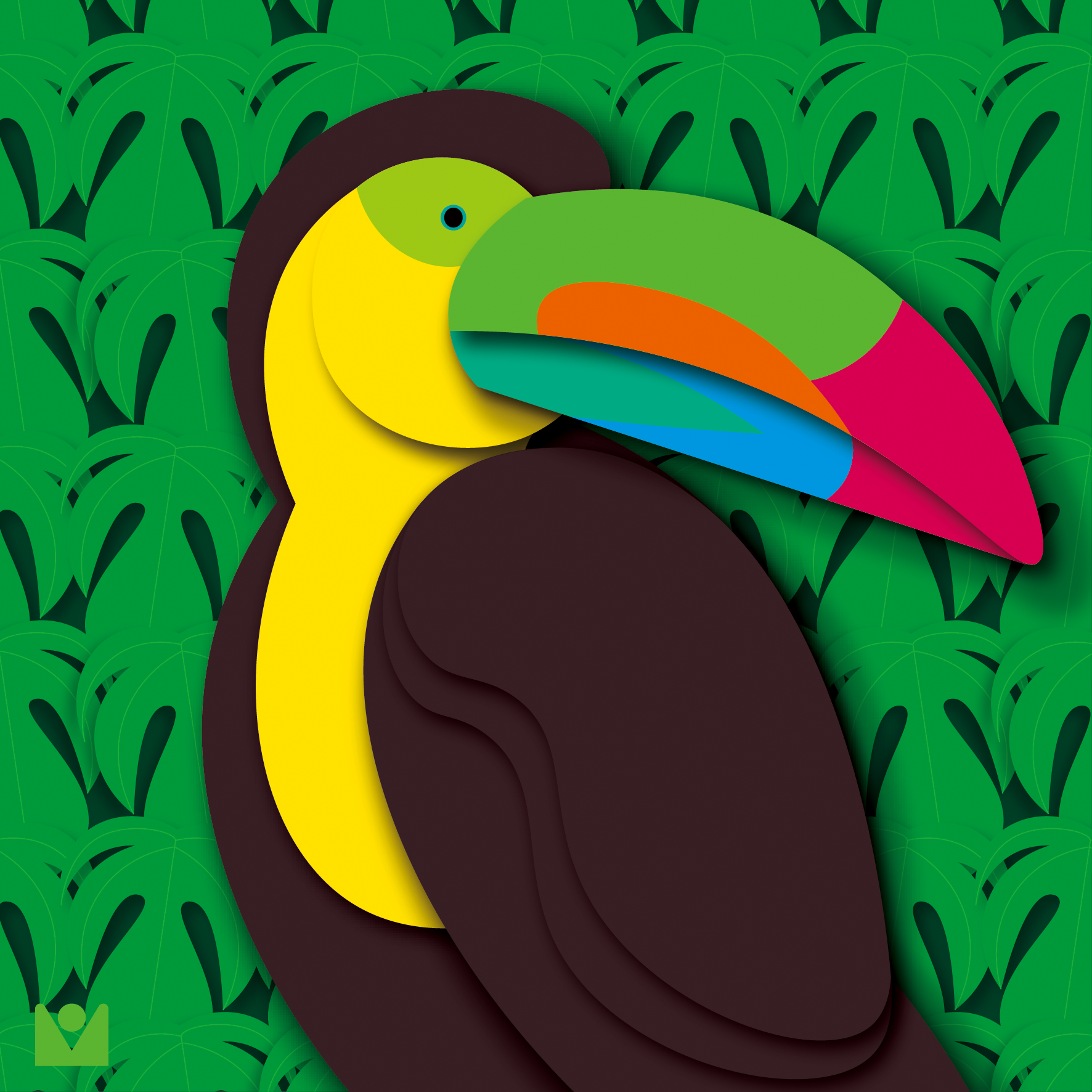 toucan bird A