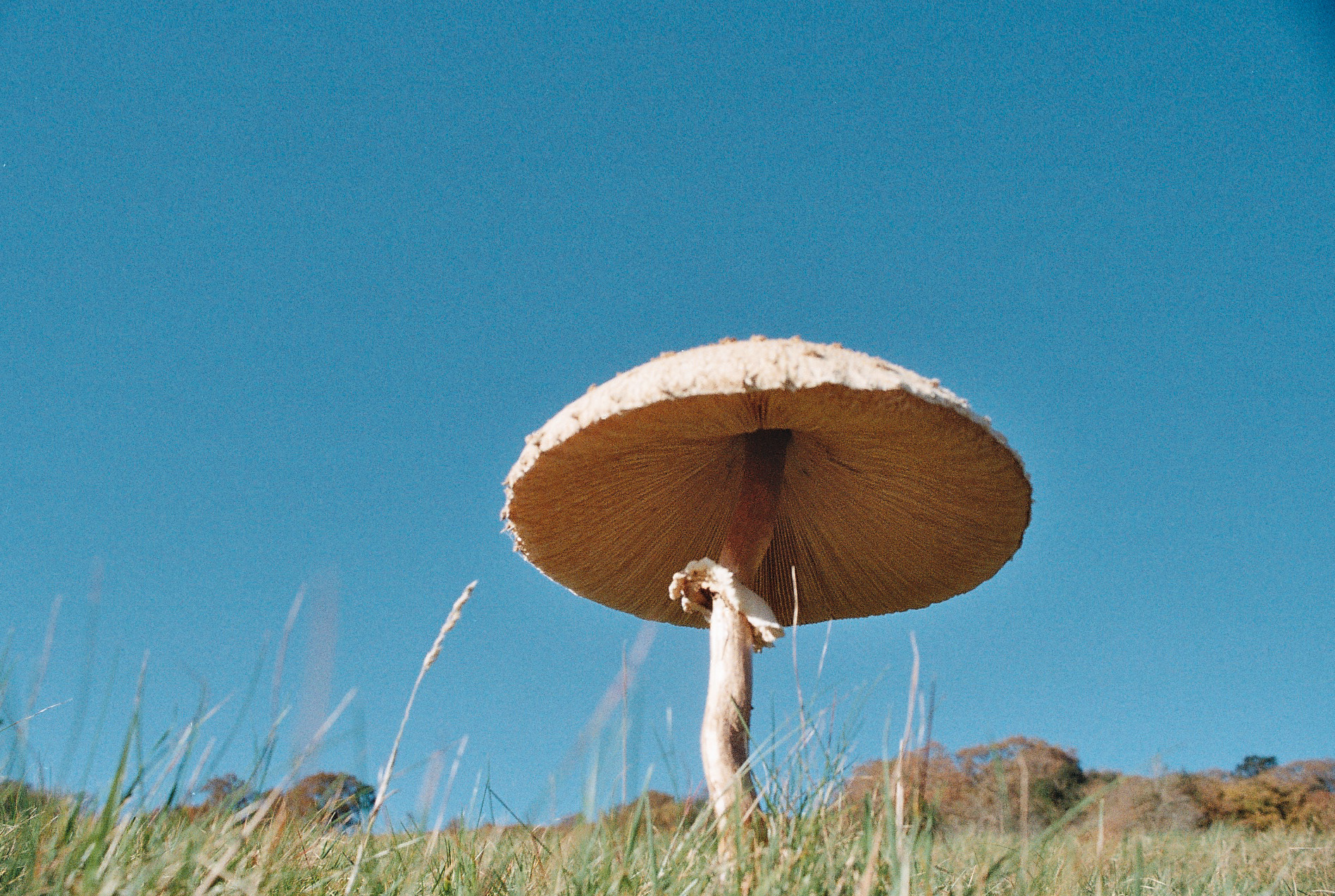 Parc Cefn Onn, Wales, Autumn 2021