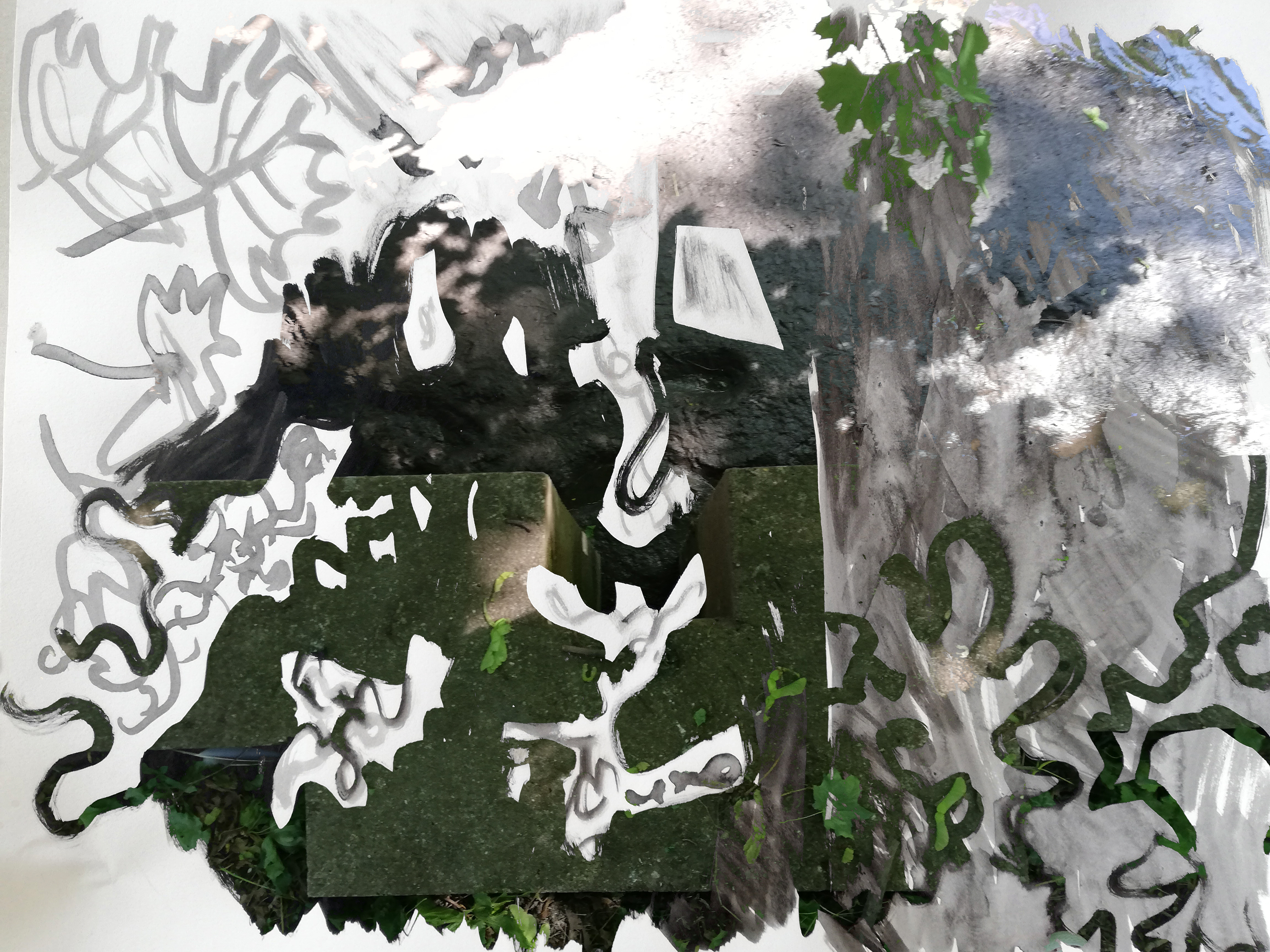 “Contagious fogs; which falling in the land / Have every pelting river made so proud / That they have overborne their continents...” Titania Act 1 Sc 1