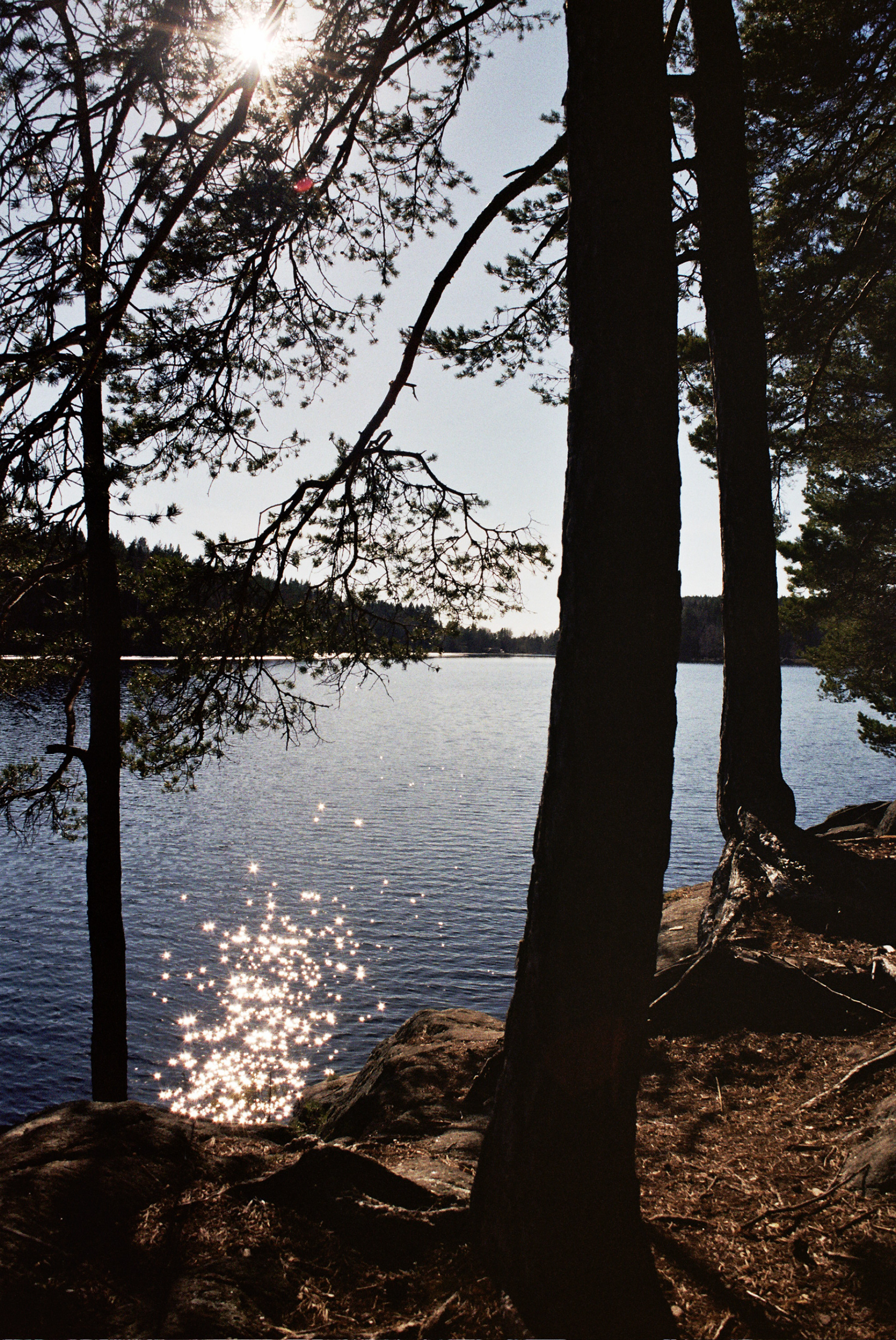 'Melting Ice', Lake Outside Oslo, April 2019