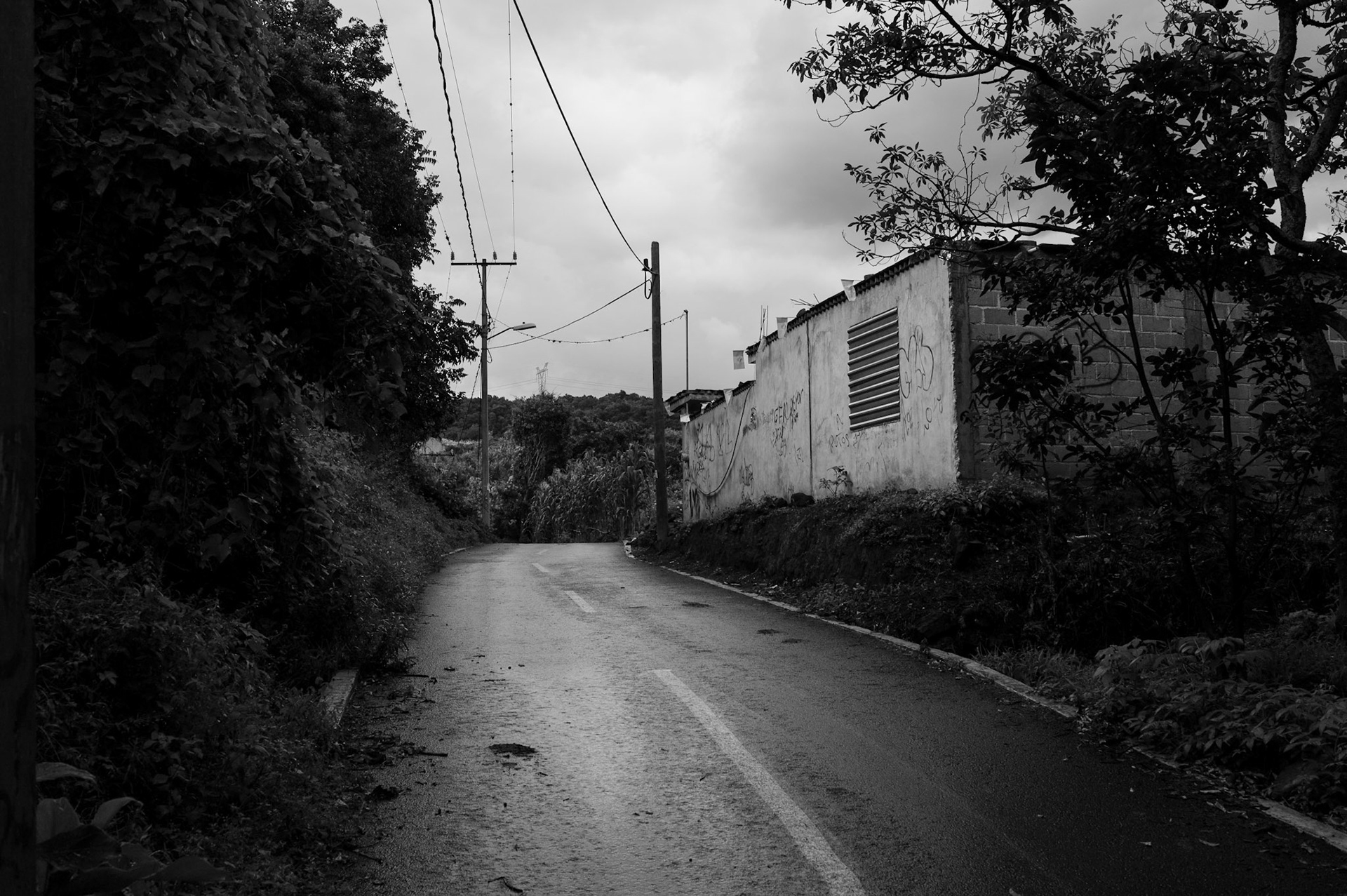 Tochimilco, 2018