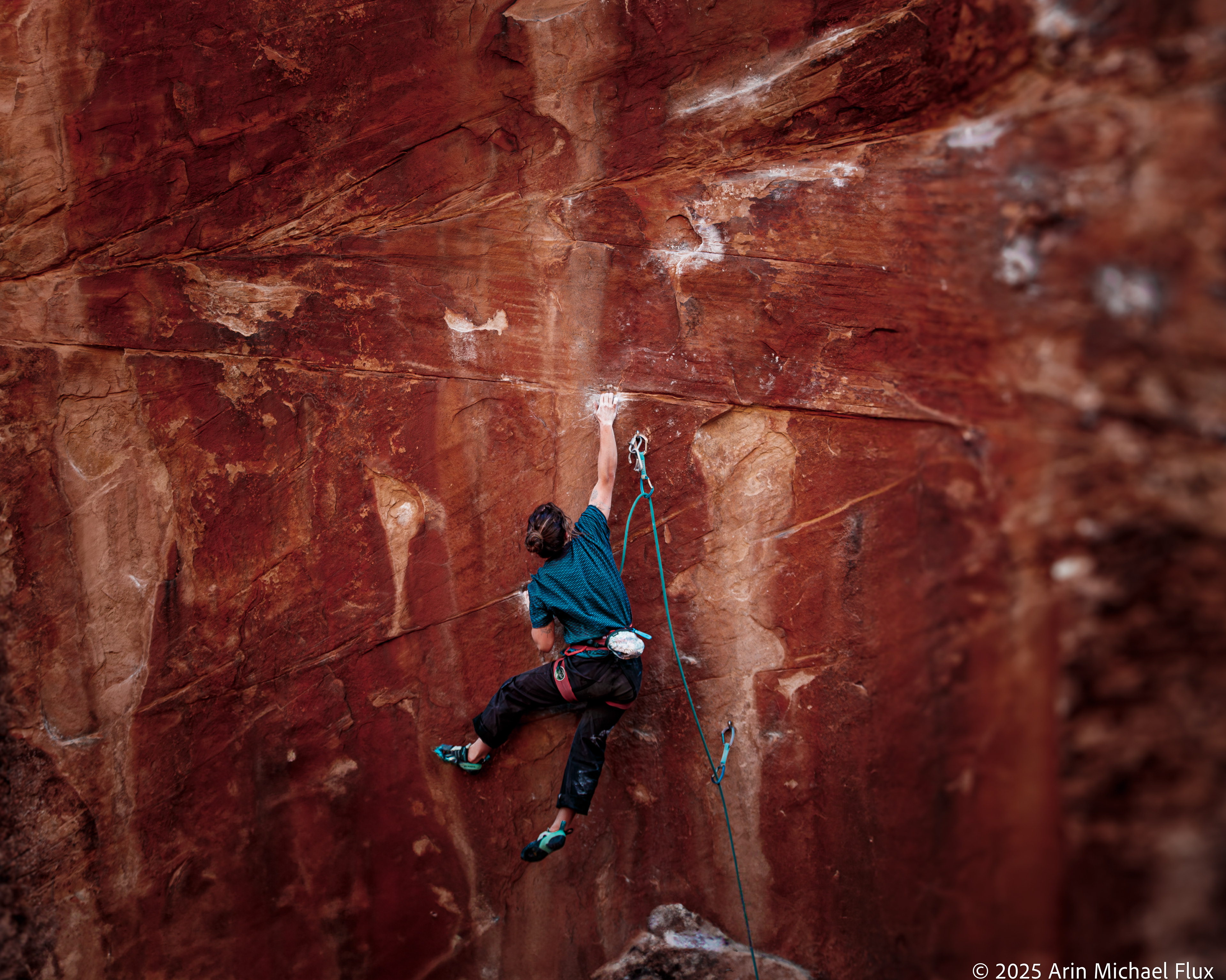 Liv Ogier on "Herbavour Dyno-saur" 5.14