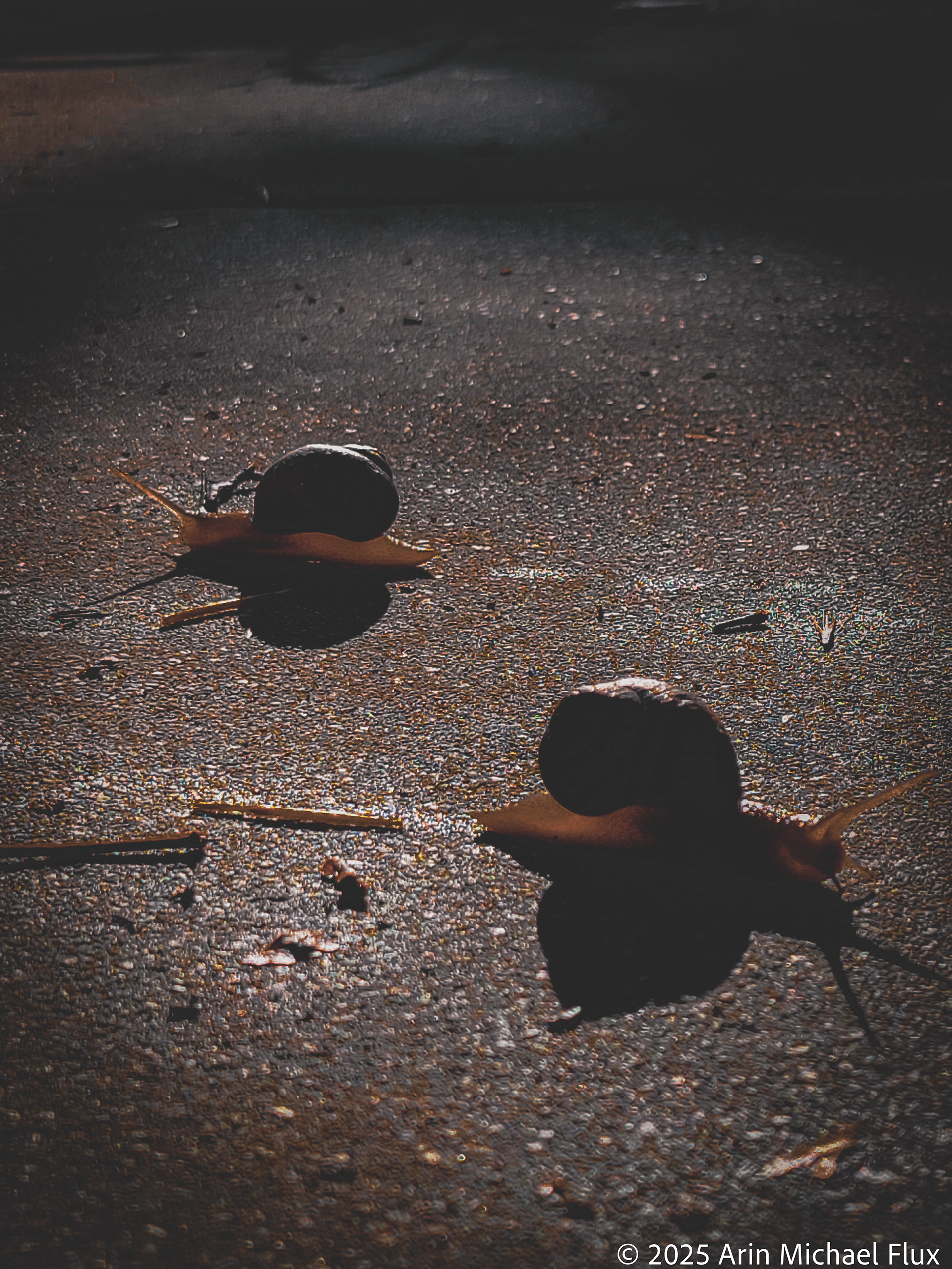 All the small things