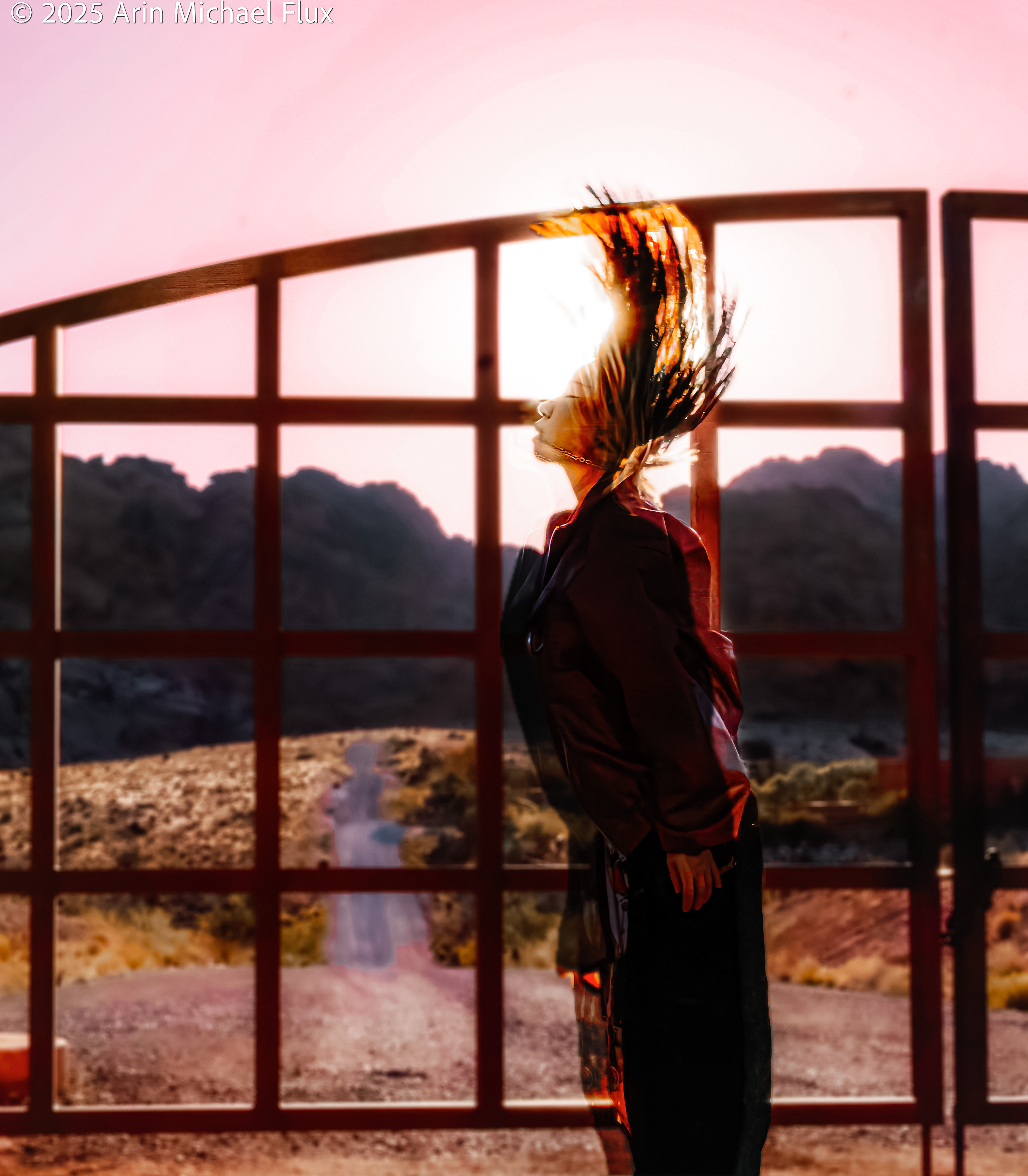 Phoenix Rising
