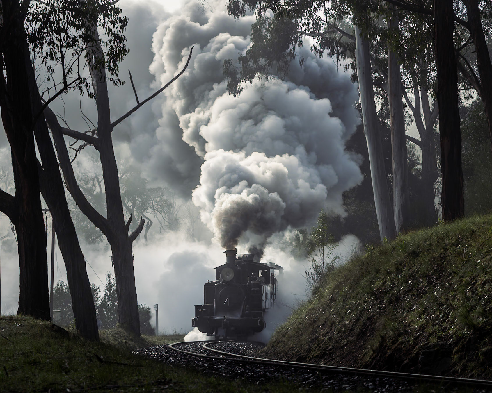 The winter solstice is behind us now, and the days are getting longer and theoretically warmer - not that you'd know from this shot! On the day after the solstice, Selbyites woke up to a blanket of thick fog through which 12A and NGG16 129 materialise on their way from Belgrave.