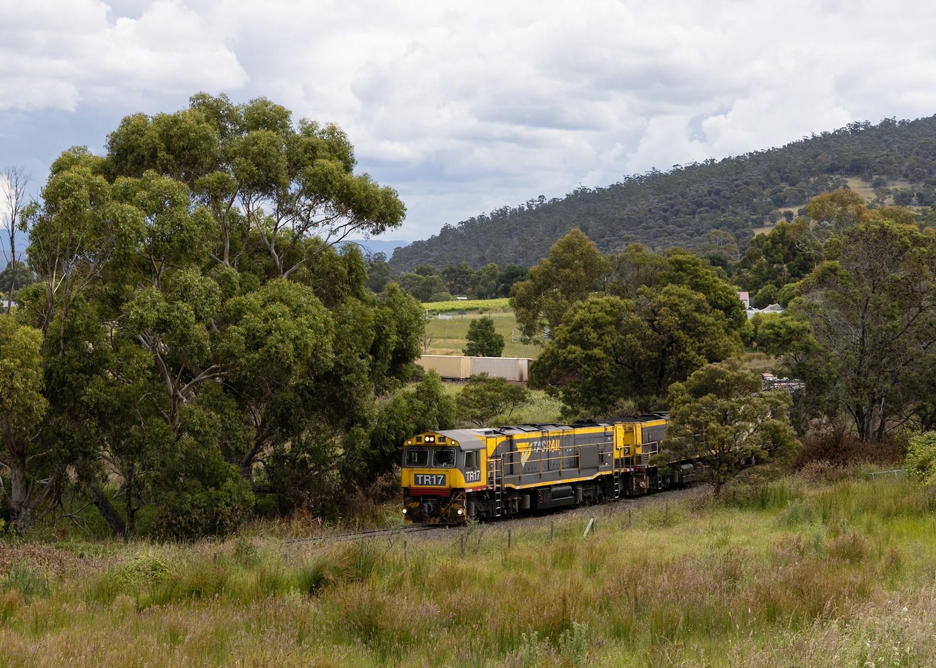 Two of Tasrail's ubiquitous TR class locos - TR17 and TR15 - sweep around the marshy flats of Dromedary as they work down the River Derwent from Boyer. The two locomotives and their train of containers would spend the rest of the day travelling northwards, arriving in the Bass Coast town of Burnie in the early hours of the following day.