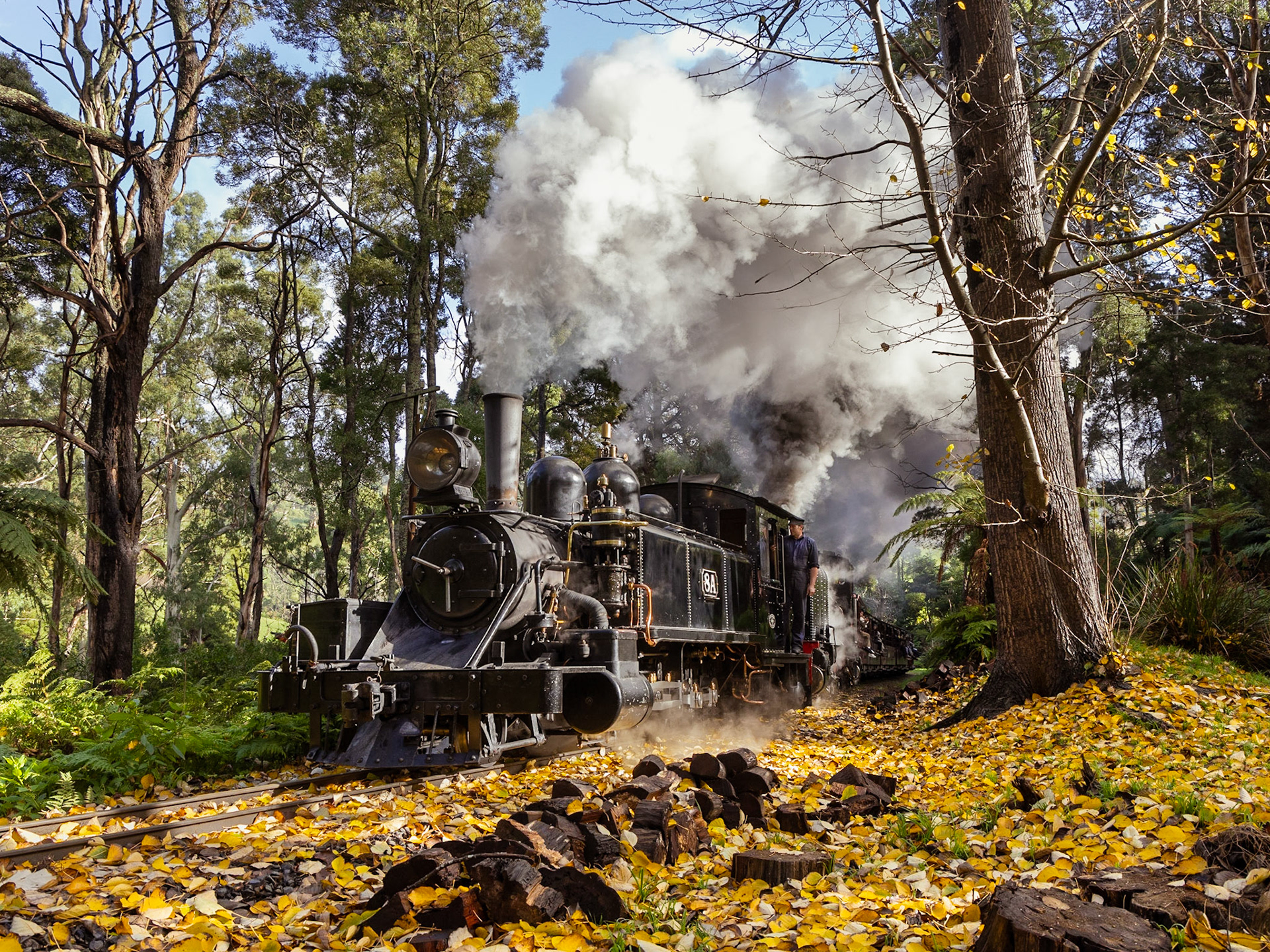 Nearing the end of the temporary speed restriction at Landslide, the crews open the regulators and send smoke flying into the canopy as they navigate a forest floor carpeted with the last gasp of autumn colour.