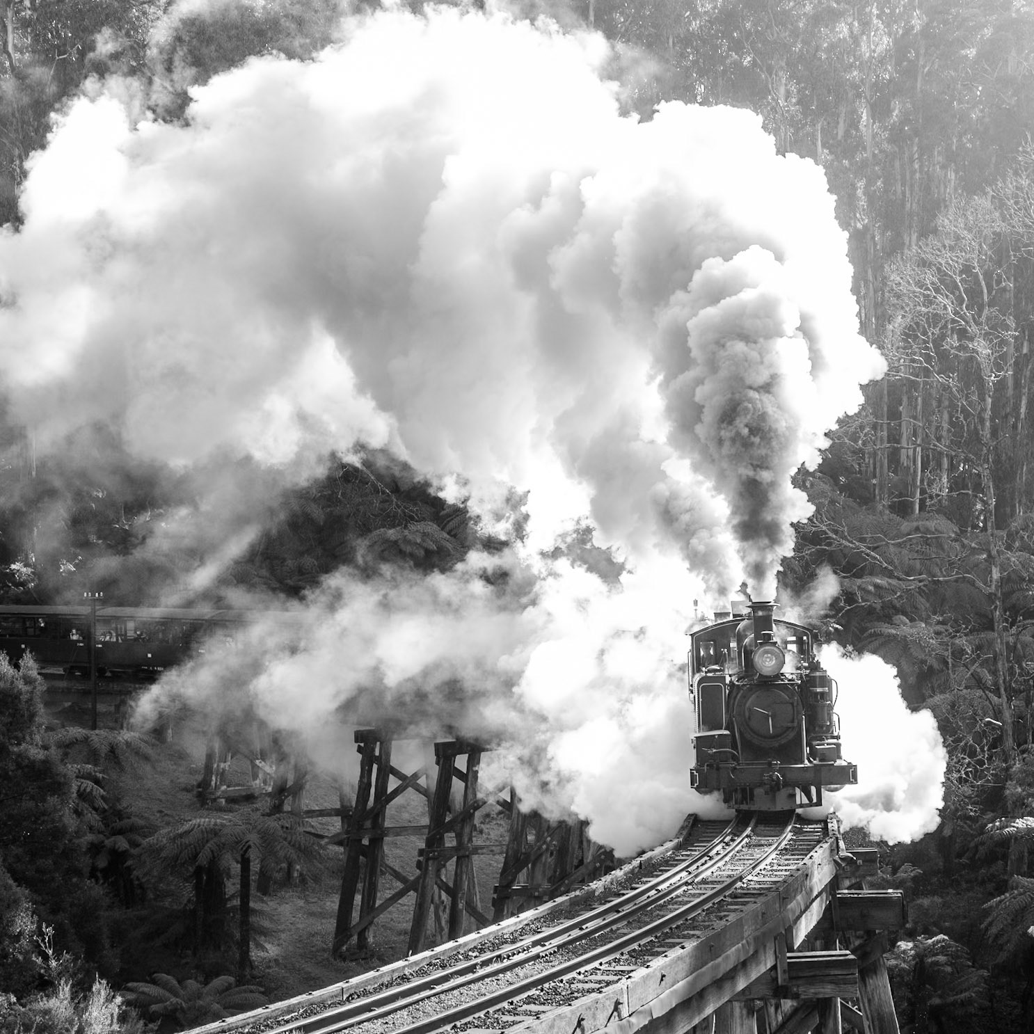 12A leads 8A across the Monbulk Creek trestle bridge on a cool winters morning in 2021 with the first train of the day for Lakeside.