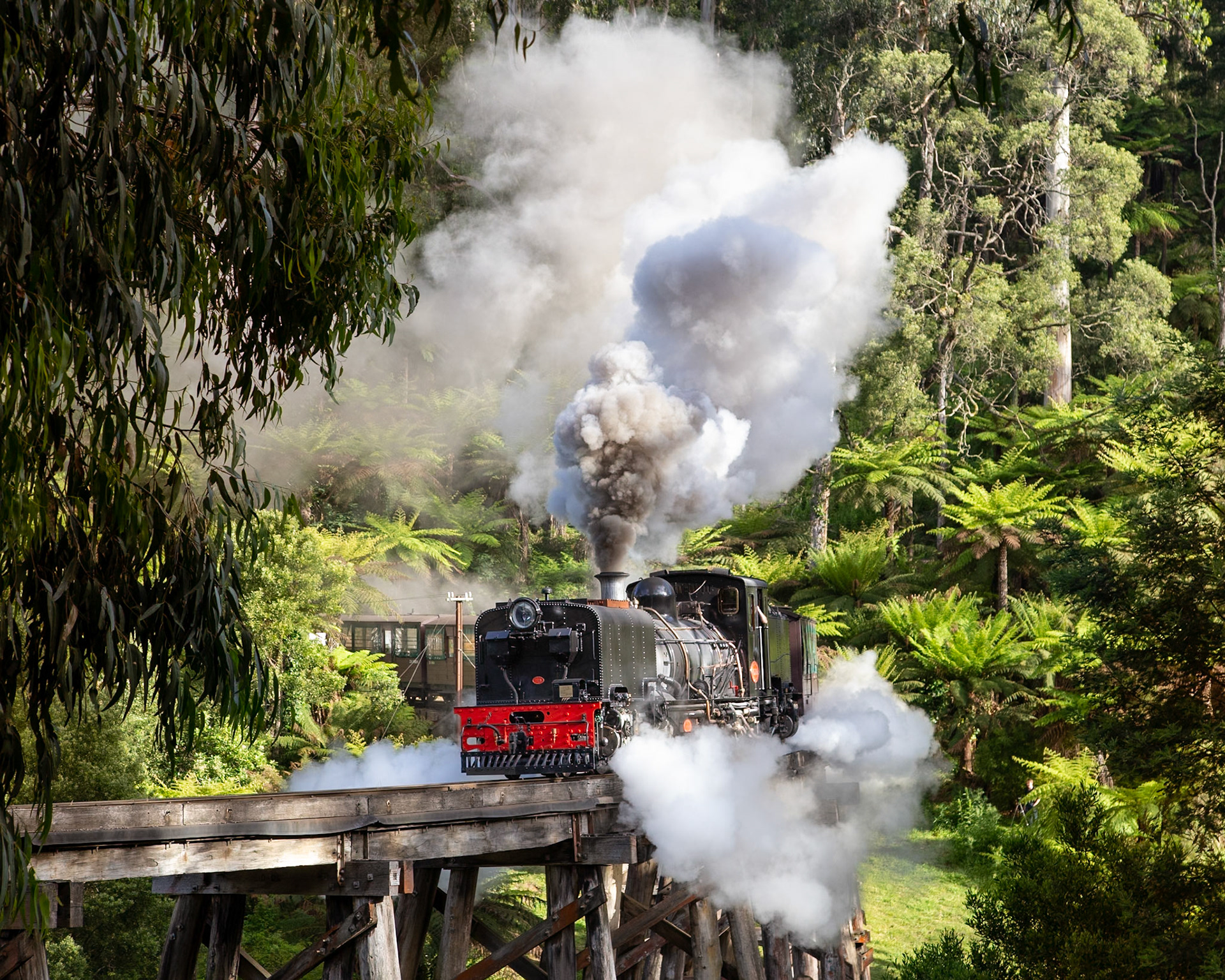 On its second test run from Belgrave, NG/G16 129 erupts over the Monbulk Creek trestle bridge early one November morning, bound for Gembrook. Unfortunately, the test run was cancelled at Menzies Creek with a fault in the ashpan.The workshops team have a blog full of posts detailing the rebuild of this iconic South African steam locomotive that's well worth a read - https://puffingbilly.com.au/news/workshop-blog/