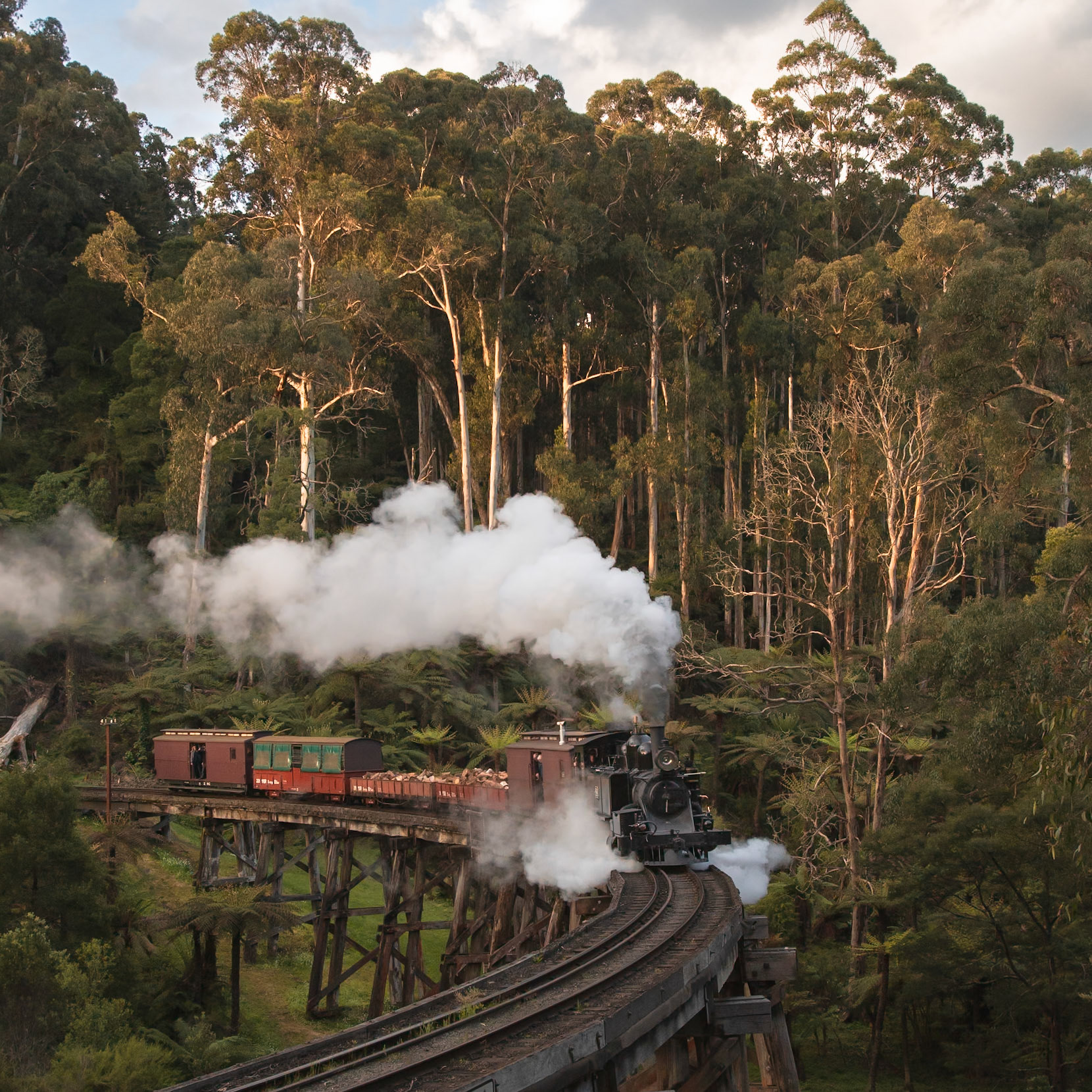 With the last gasp of daylight sparking across the mountain gray gums above Monbulk Creek, 8A makes light work of its small mixed goods train bound for Gembrook.