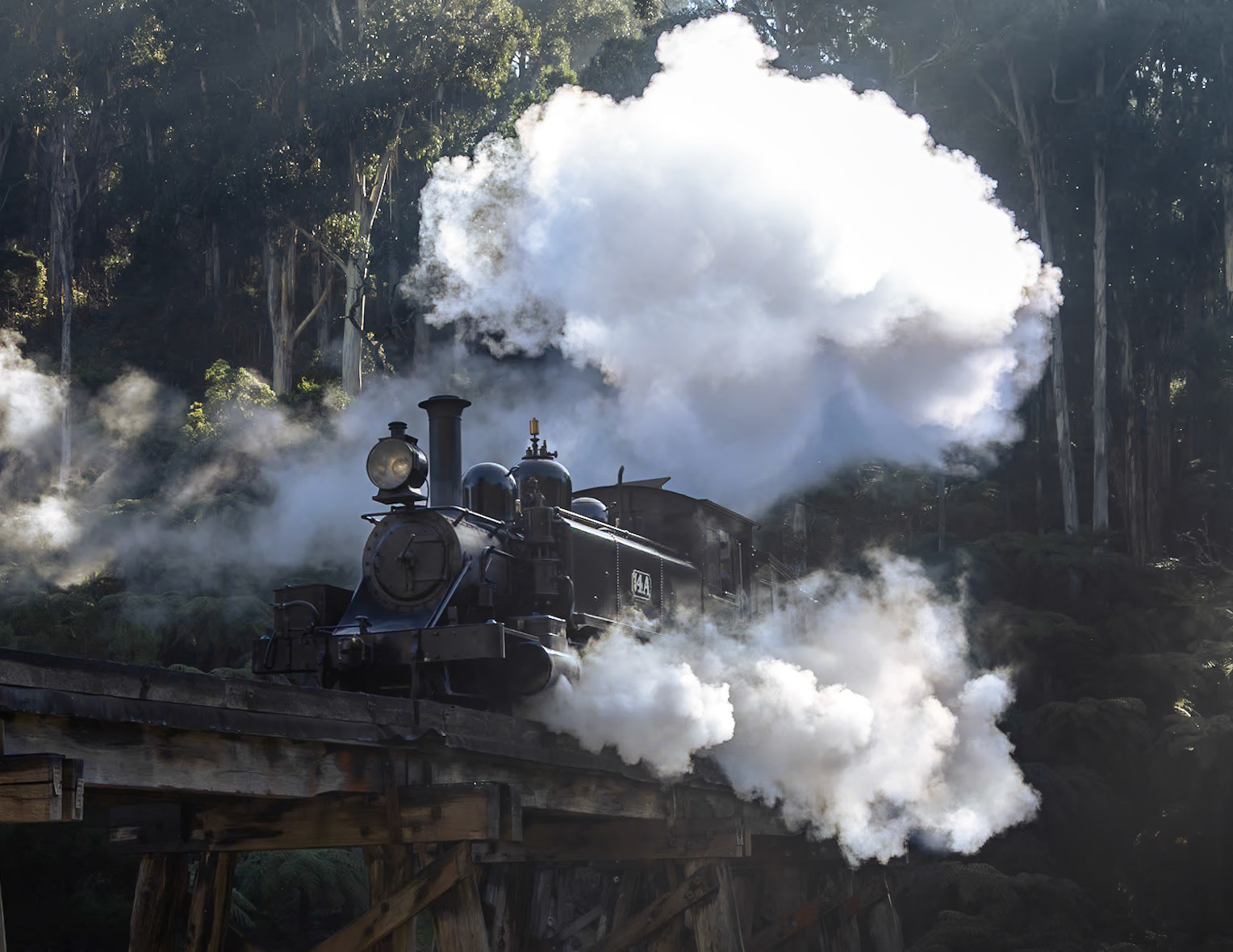 Smoke and steam from 14A catches the tips of sunlight peeking above the towering gums as the youngest surviving NA-class locomotive crosses the Monbulk Creek trestle bridge with a Gembrook train from Belgrave.