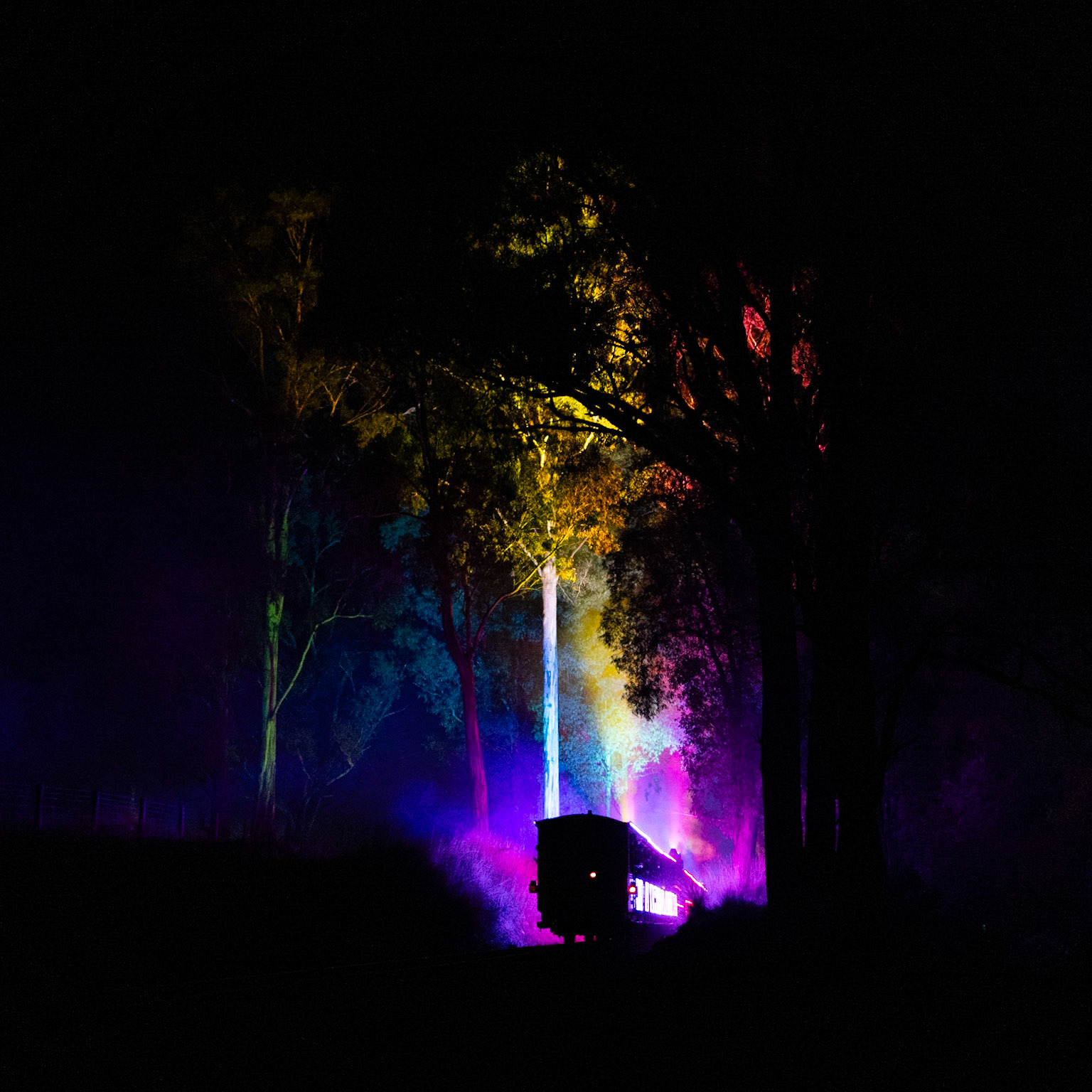 The final "Train of Lights" trip for 2023 climbs uphill past Fielder station en route to Gembrook.