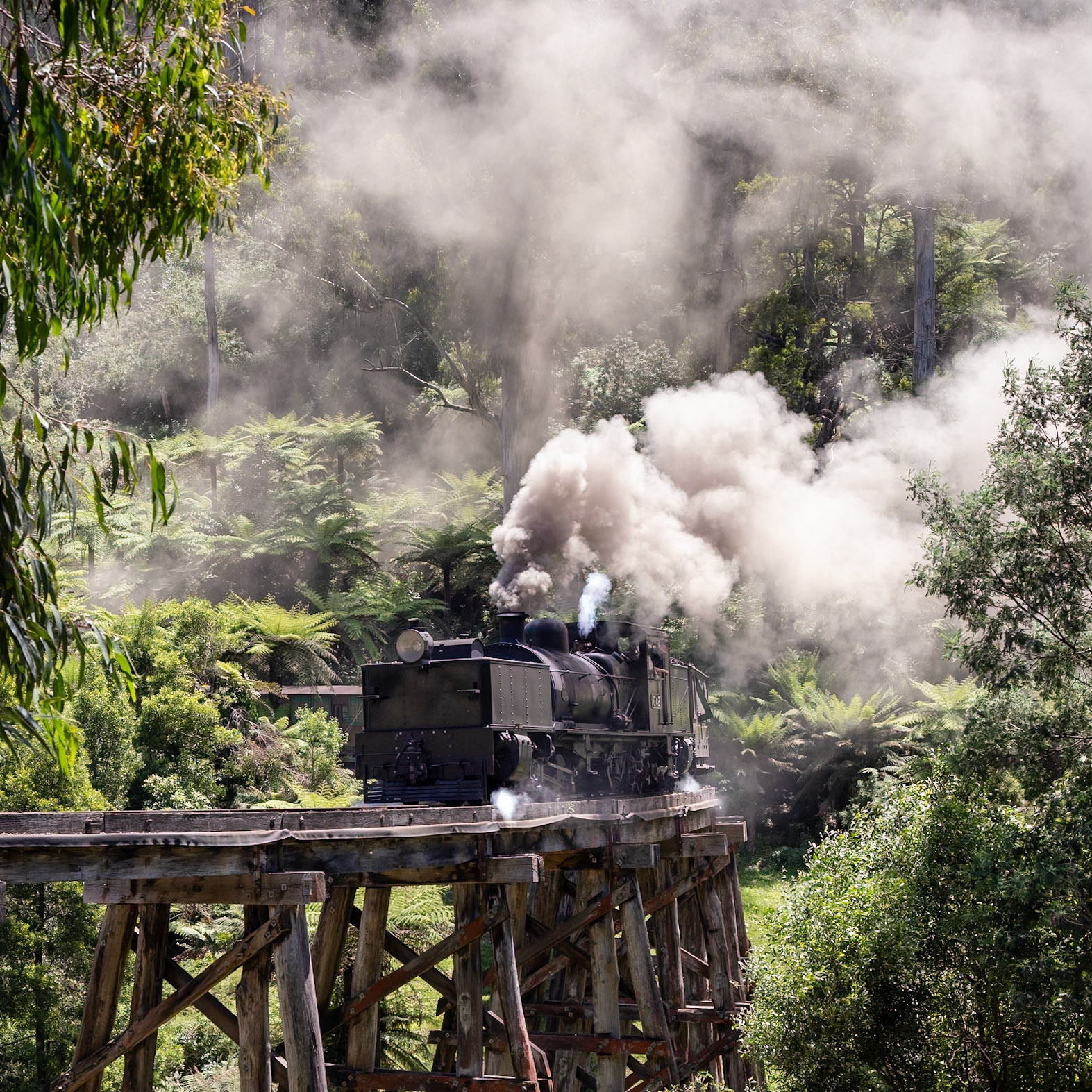 Steam returns to the Dandenong Ranges in November 2020 in triumphant style, as G42 crosses the Monbulk Creek trestle bridge with a shakedown train from Belgrave to Emerald. After 250 days of forced closure due to Coronavirus, the iconic steam railway is set to reopen to the public in late November.