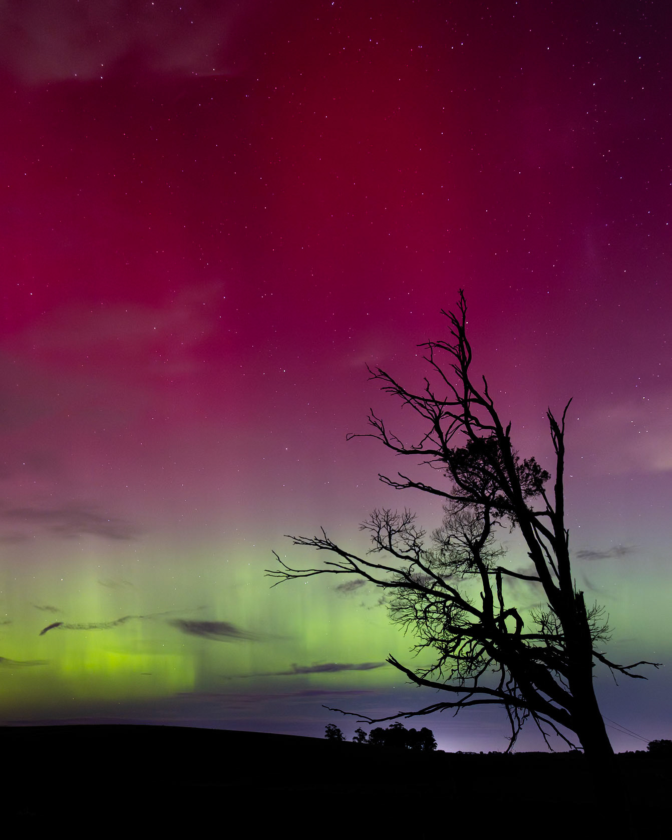 Blues, greens, pinks, and reds fill the sky over Gembrook.