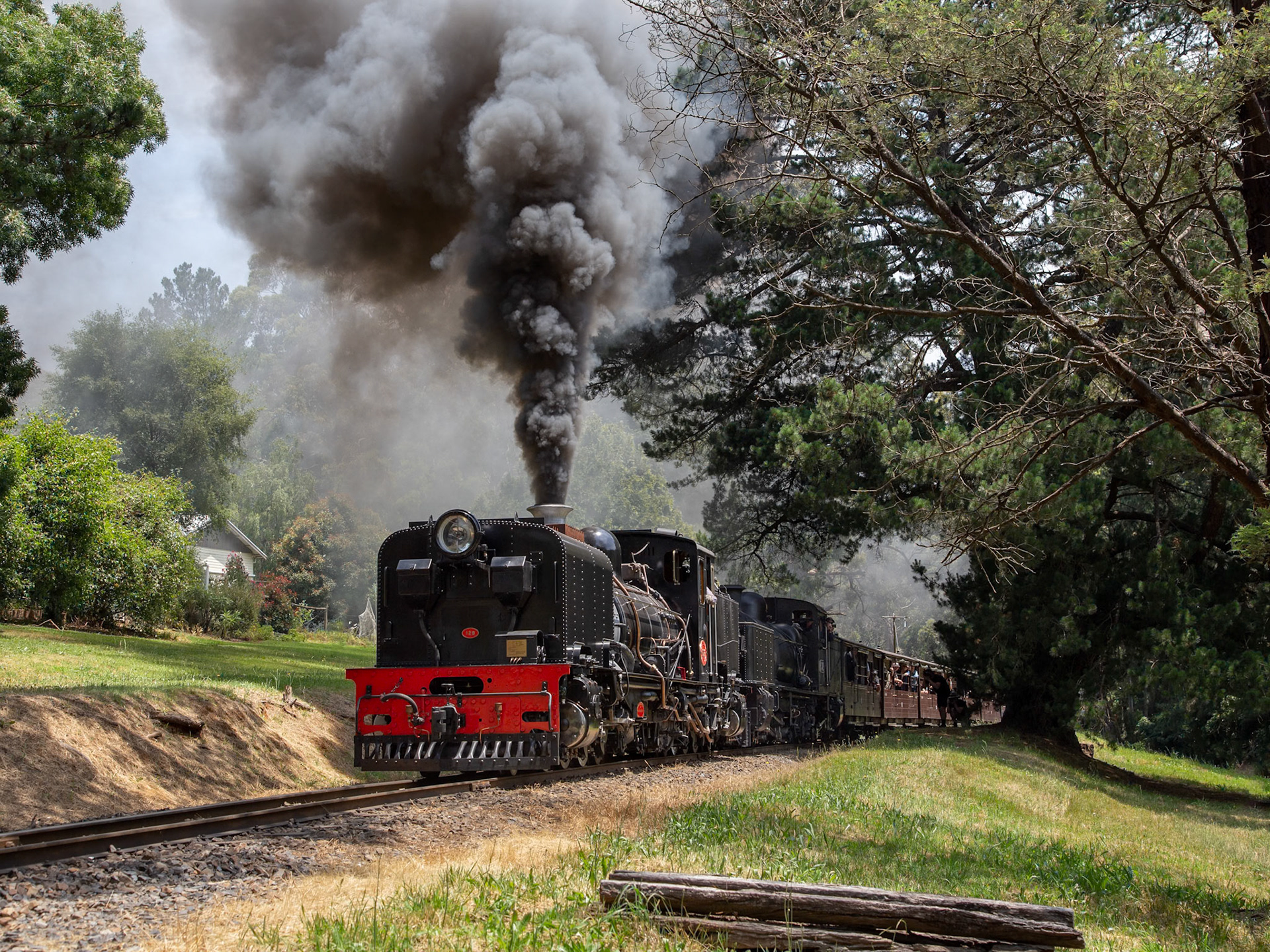Melbourne's first taste of summer - a 40-degree day in the Dandenong Ranges - also heralded the relaunch of NG/G16 129 into revenue service. With fellow Garratt-type locomotive G42 in tow, the duo makes a roaring arrival into Menzies Creek with the 12:30 luncheon train from Belgrave. After arrival the "NGG" cut off from the front of the train and meandered up into the museum compound for its official relaunch ceremony.