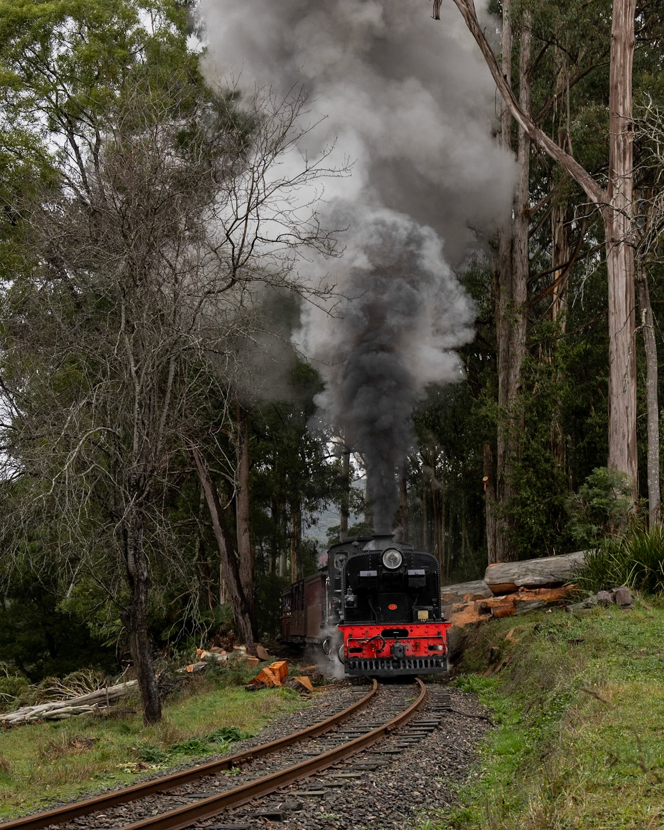 Struggling to maintain adhesion on the wet rails around Fielder, the NGG sends a column of black smoke skywards as it recovers from a wheelslip during its ascent from Cockatoo to Gembrook.
