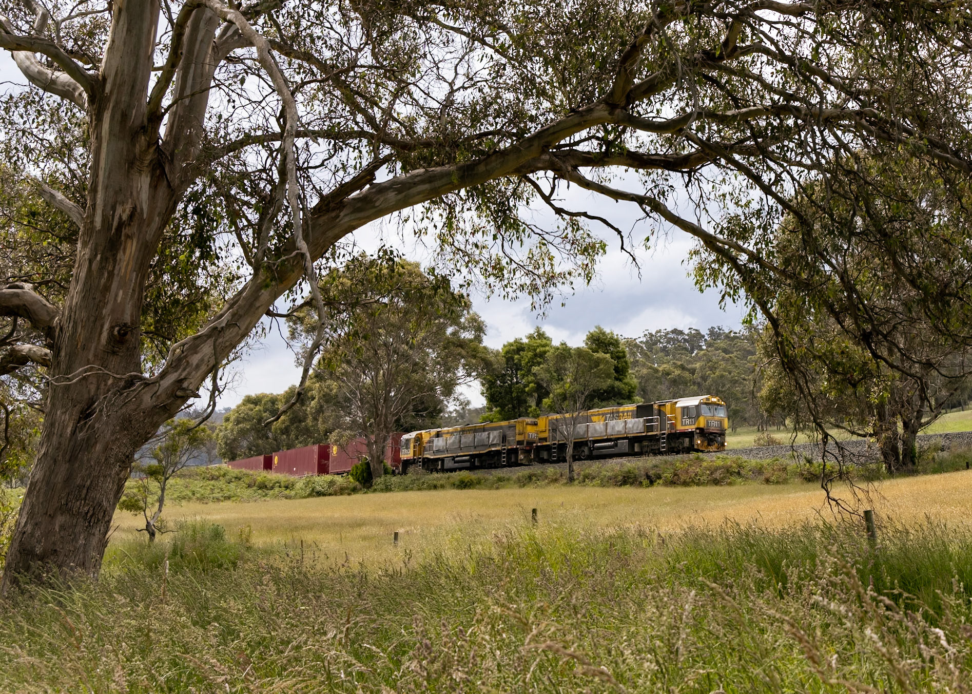 TR11 and TR13 climb the steep and winding grade from Colebrook along Coalmine Bend Road with a Boyer to Burnie freight train.