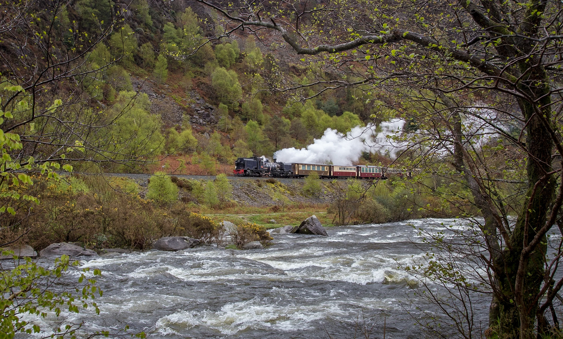 NG/G16 No. 87 slopes downhill through the Aberglaslyn Pass above the Afon Glaslyn, roaring as it carries the night's rain down from the mountains. 87 is heading towards Beddgelert with the day's first train from Porthmadog for Caernarfon.