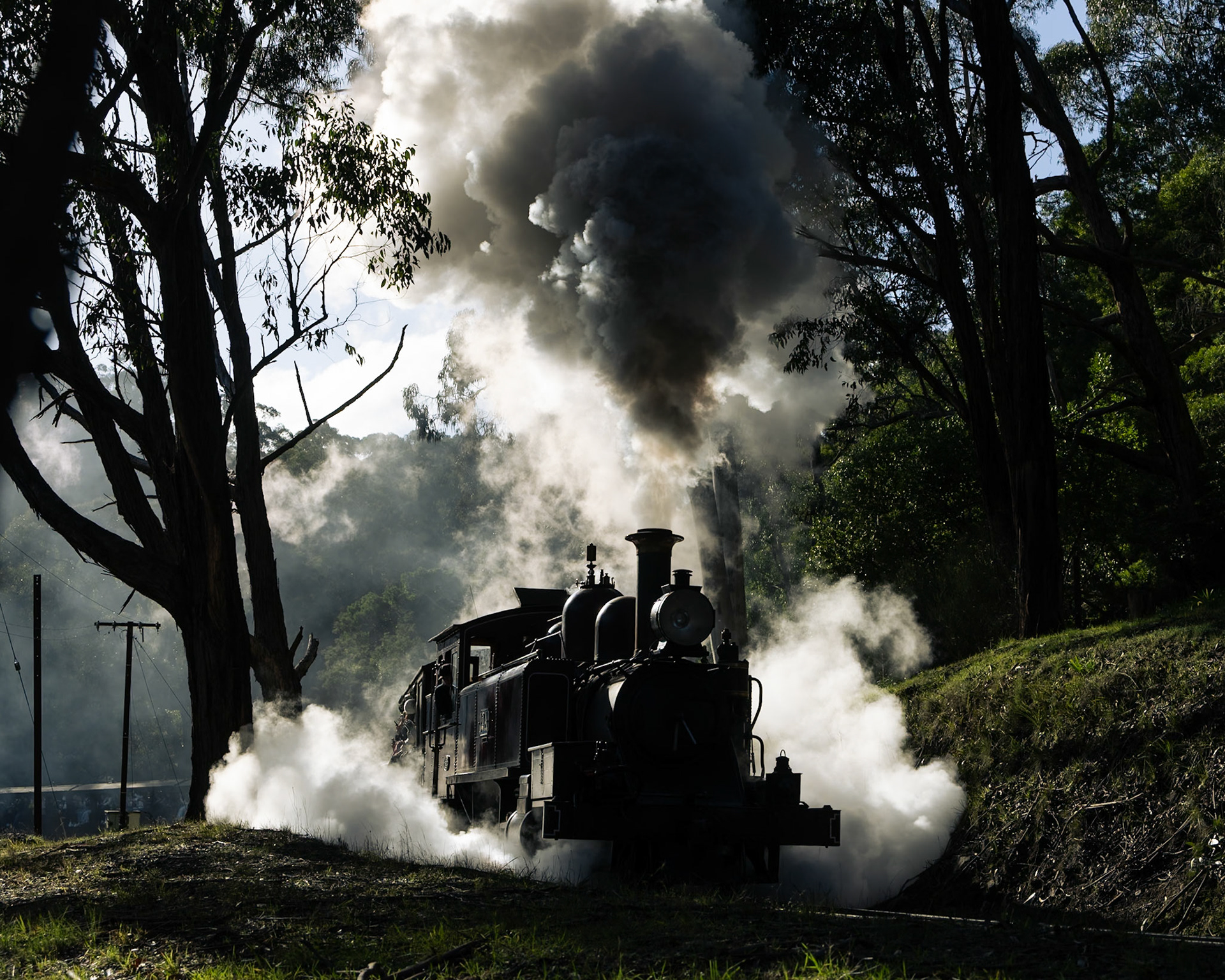 Smoke, steam, and soot is sent forth from 12A as it navigates through the curves of Selby with a very full train for Lakeside.