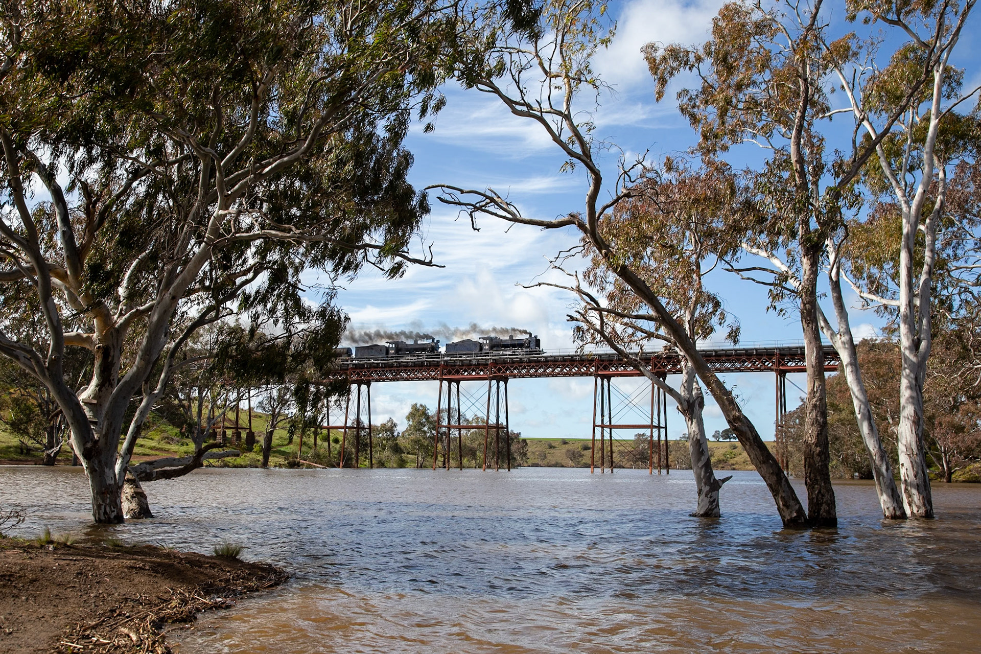 K183 leads K153 (running as K100) over a very full Melton Weir with the second "Triple K"s tour, this time headed for Ballarat. Notably absent is K190 - originally intended to join the train and make the trifecta, K190 was unable to join the train due to a boiler defect. T395 was drafted in to assist and provided banking power from the rear.