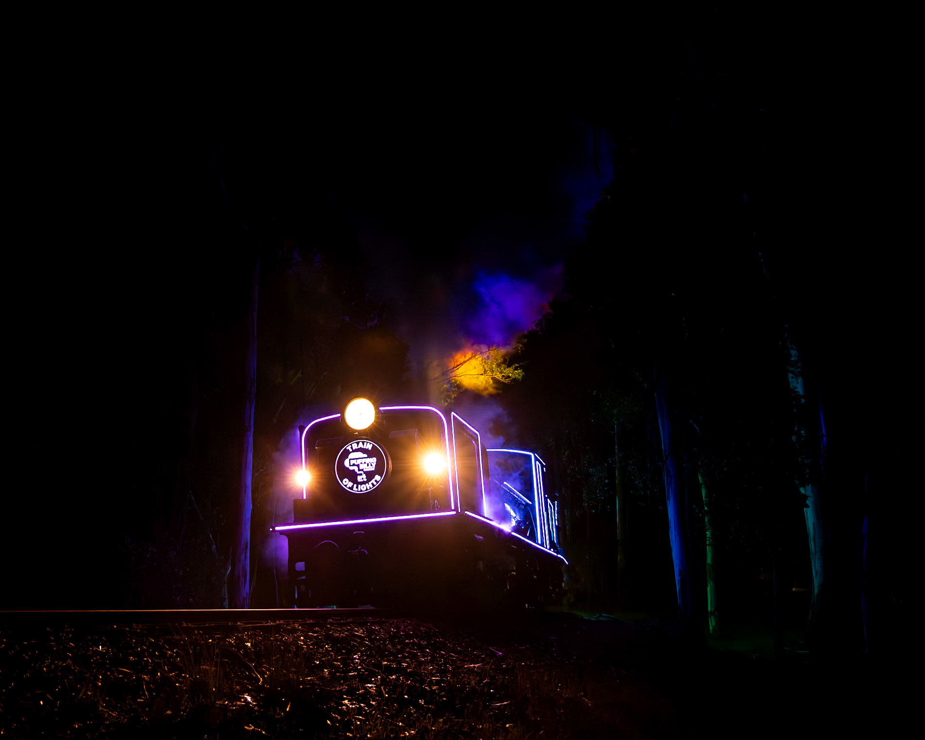 NG/G16 129 erupts through Fielder station with the first "Train of Lights" train for the 2023 season.