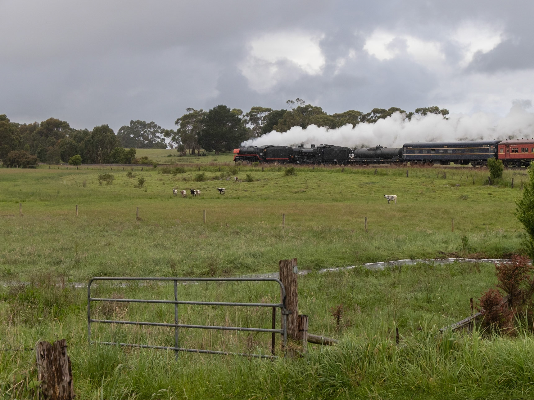The recent heavy rainfall around Panmure washes through a farm paddock on its way to Mt. Emu Creek, as Steamrail's R761 and A2 986 power towards Melbourne after a spirited trip to Warrnambool.