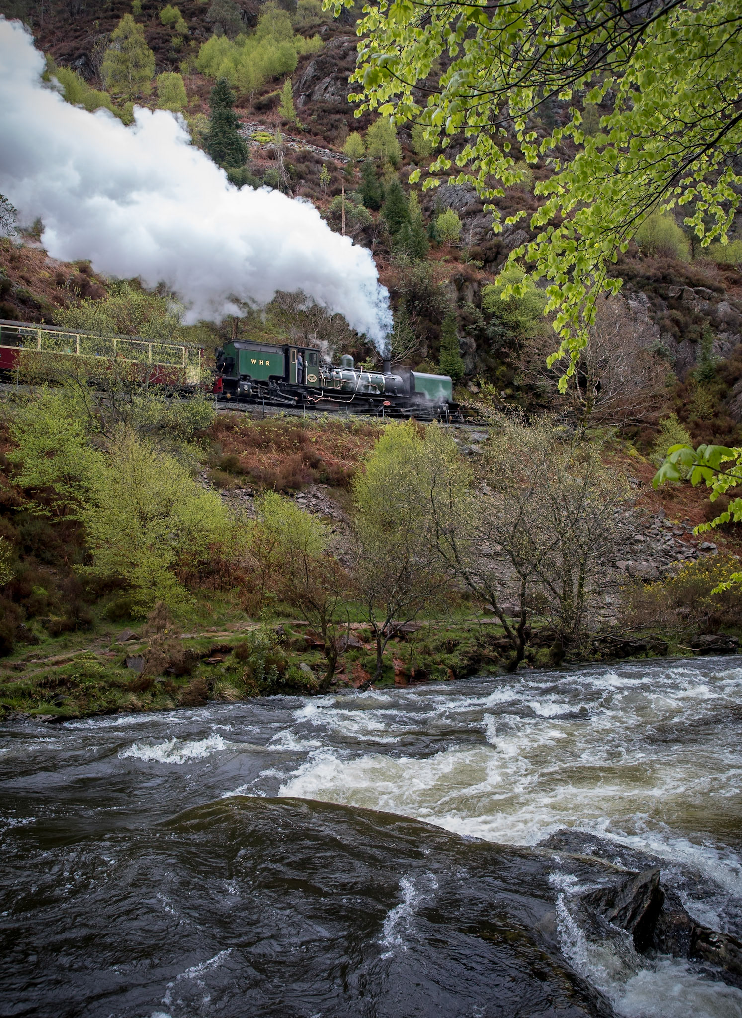 Ex-South African Railways NG/G16 no. 143 climbs away from Beddgelert back towards Porthmadoc with the first train of the day from Caernarfon. From the outskirts of Beddgelert the railway hugs the side of the Aberglaslyn Pass, with sheer rock cliffs on one side and the Afon Glaslyn on the other, and is arguably one of the most picturesque parts of the Welsh Highland Railway.