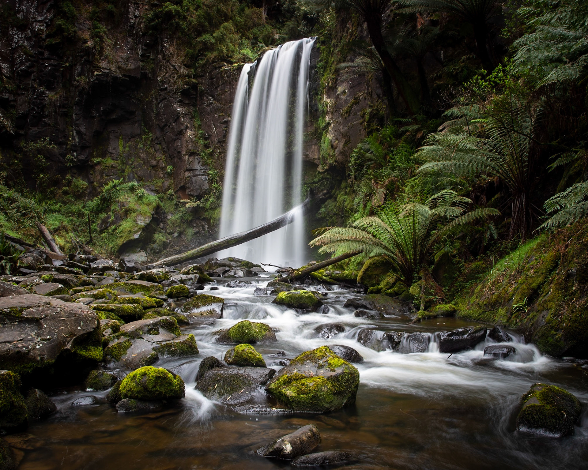 Nestled deep in the Aire Valley in the Otways lies Hopetoun Falls. After one heck of a climb down from the carpark visitors are greeted with the thunderous roar of the Aire River as it makes its way down towards the coast