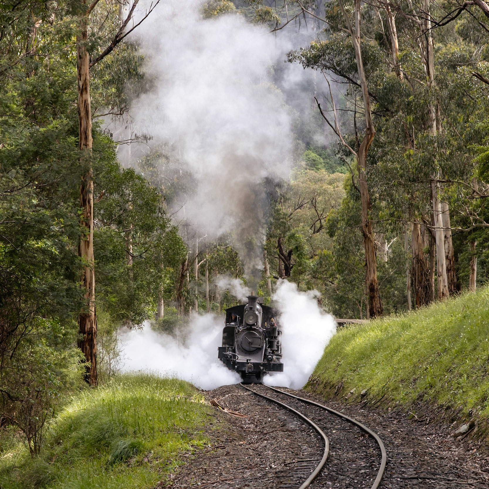 14A struggles to regain adhesion on the greasy rails behind Selby primary school as it heads towards Lakeside station with the first train of the day.