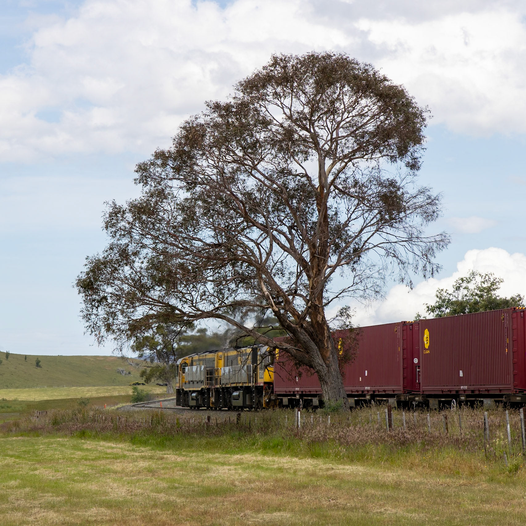 TR11 and TR13 rumble past the farms and pastures between Tea Trea and Campania, a little over an hour on their overnight journey north from Hobart.