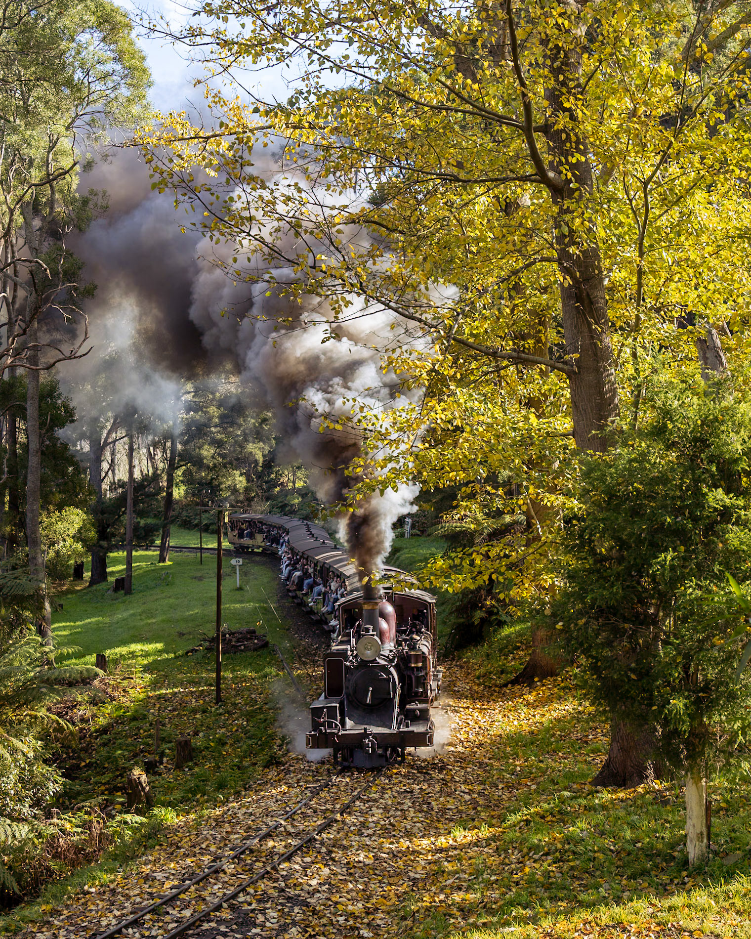 Surrounded by the warm tones of Autumn, 12A navigates the curves around Landslide with a very full train from Belgrave to Lakeside.