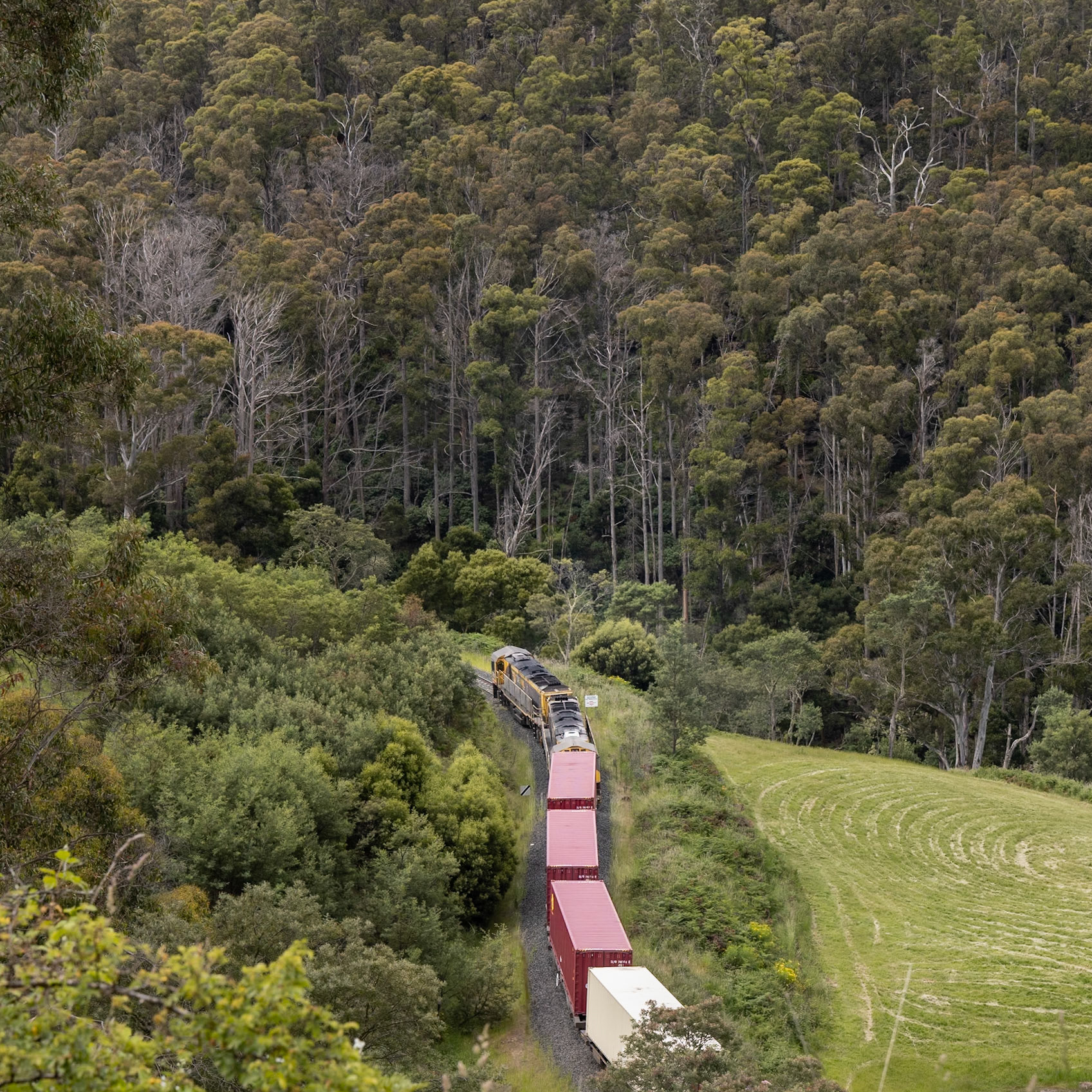 TR11 and TR13 hug the hillside along Coal River as they work uphill from Colebrook towards Rhyndaston. The steep hills and twisting rail corridor are typical of most of the Tasmanian railway network, highlighting the challenges faced by Tasrail when competing for traffic against the modern highway network.